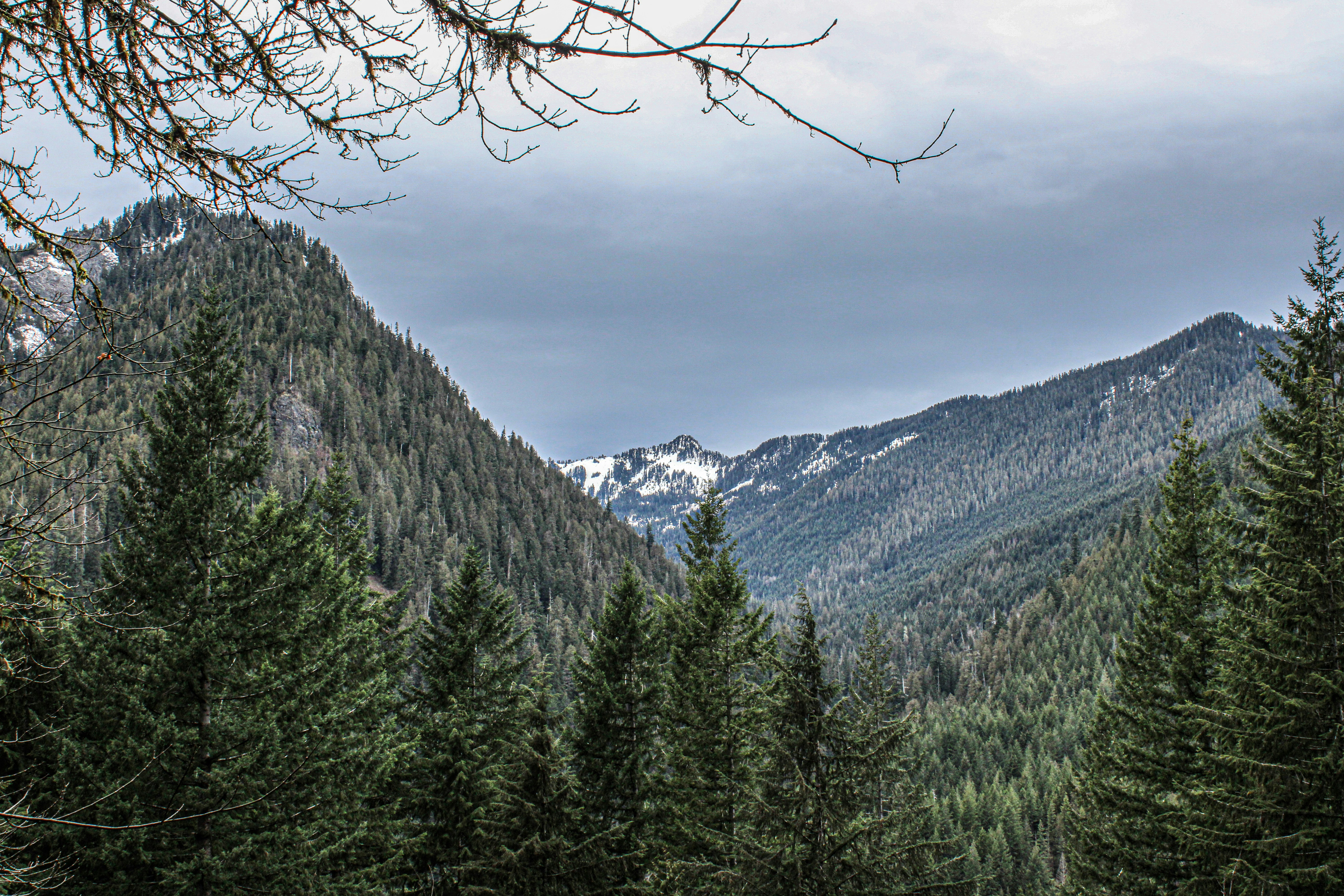 Photo by prphotography262