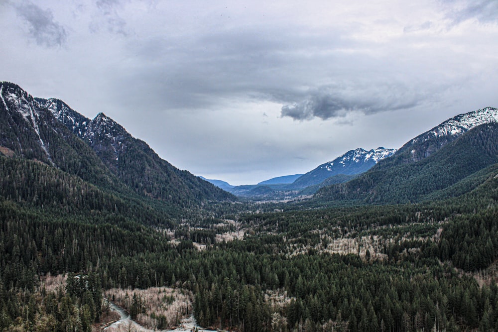 a scenic view of a valley with mountains in the background