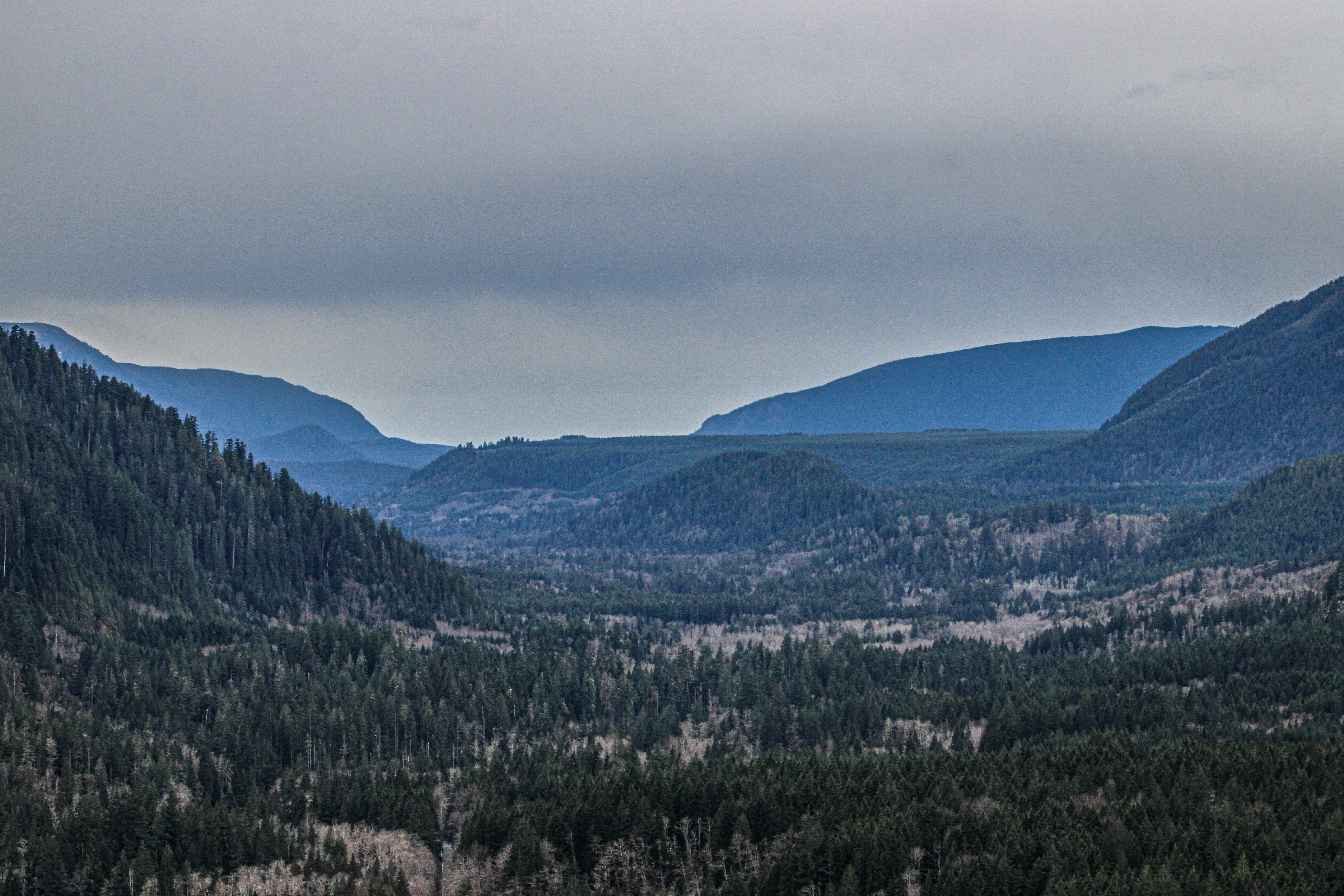 Photo by prphotography262