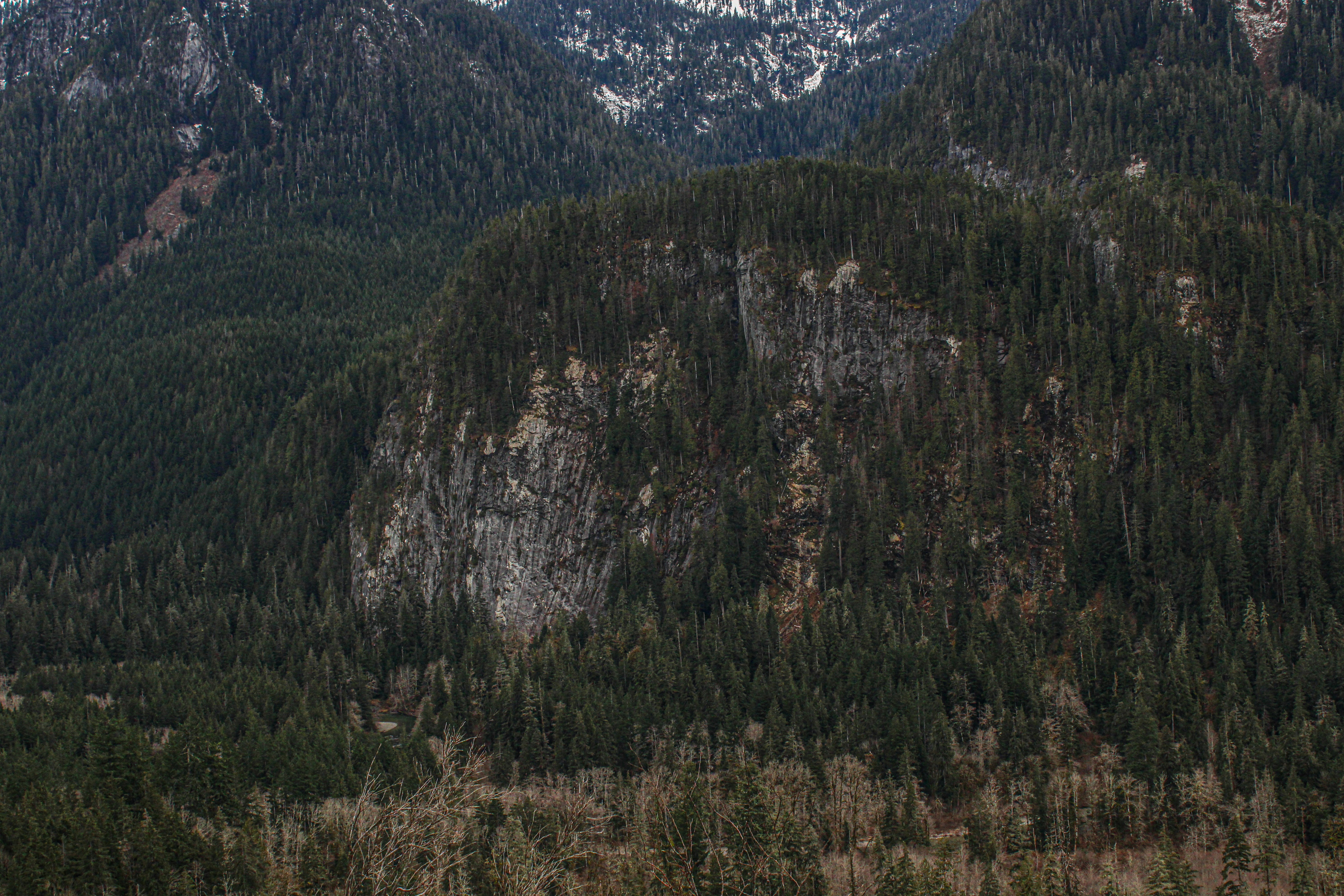 Photo by prphotography262