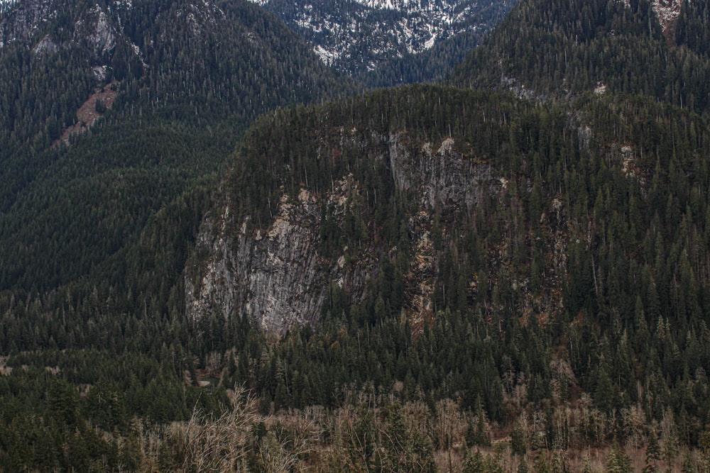 a mountain range with a forest in the foreground