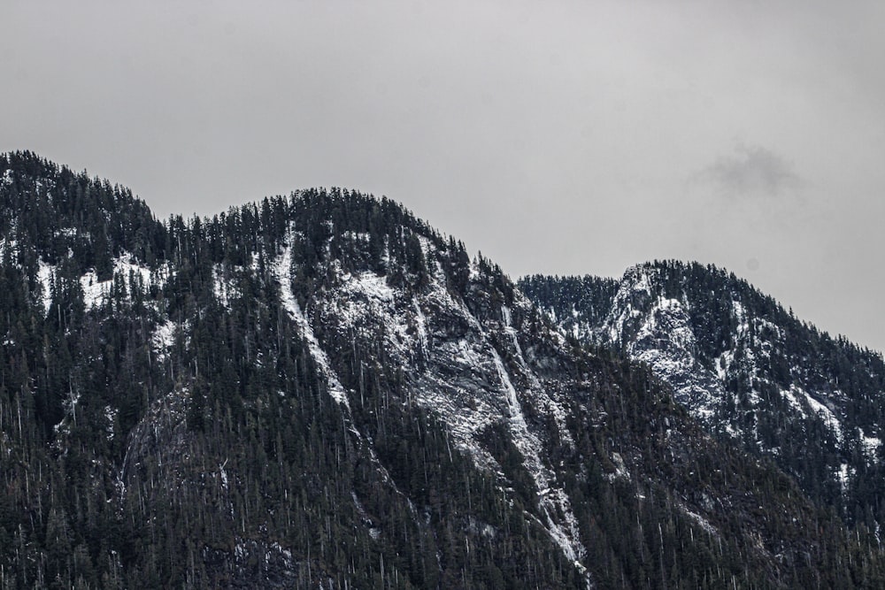 a mountain covered in snow and trees under a cloudy sky