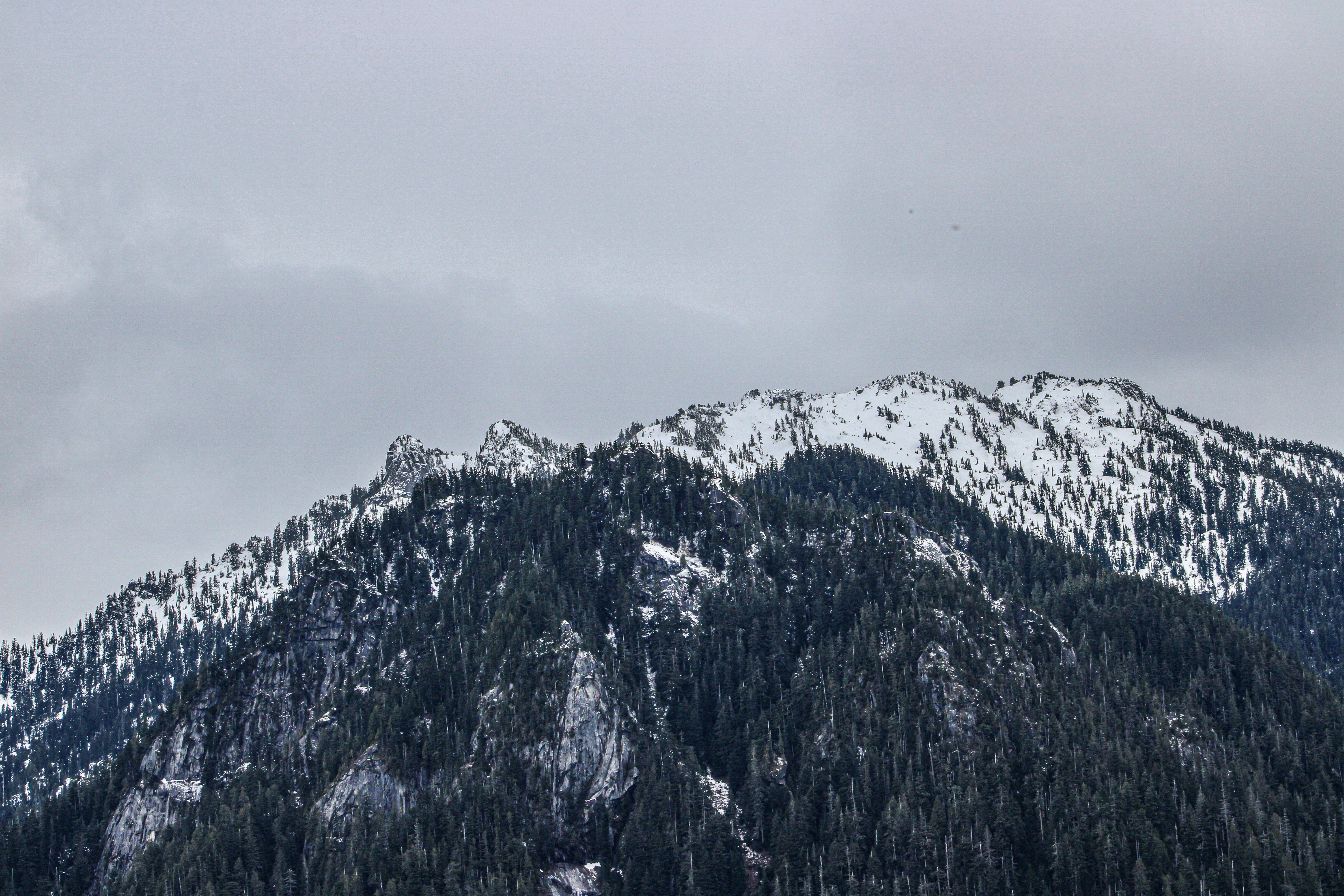 Photo by prphotography262