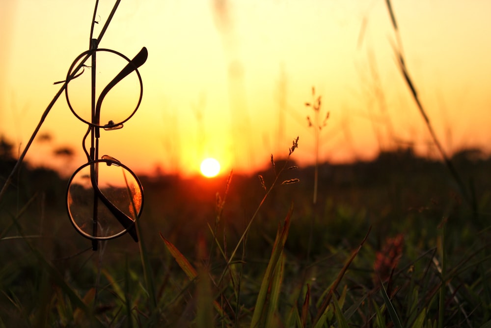 a pair of glasses sitting on top of a grass covered field