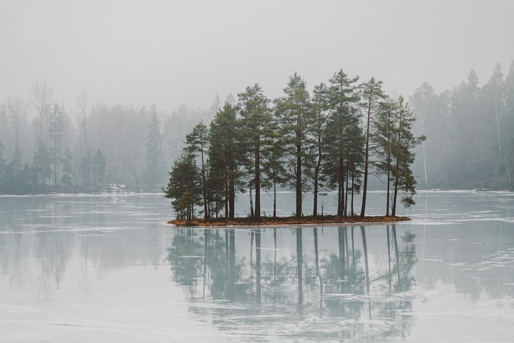 a small island in the middle of a lake