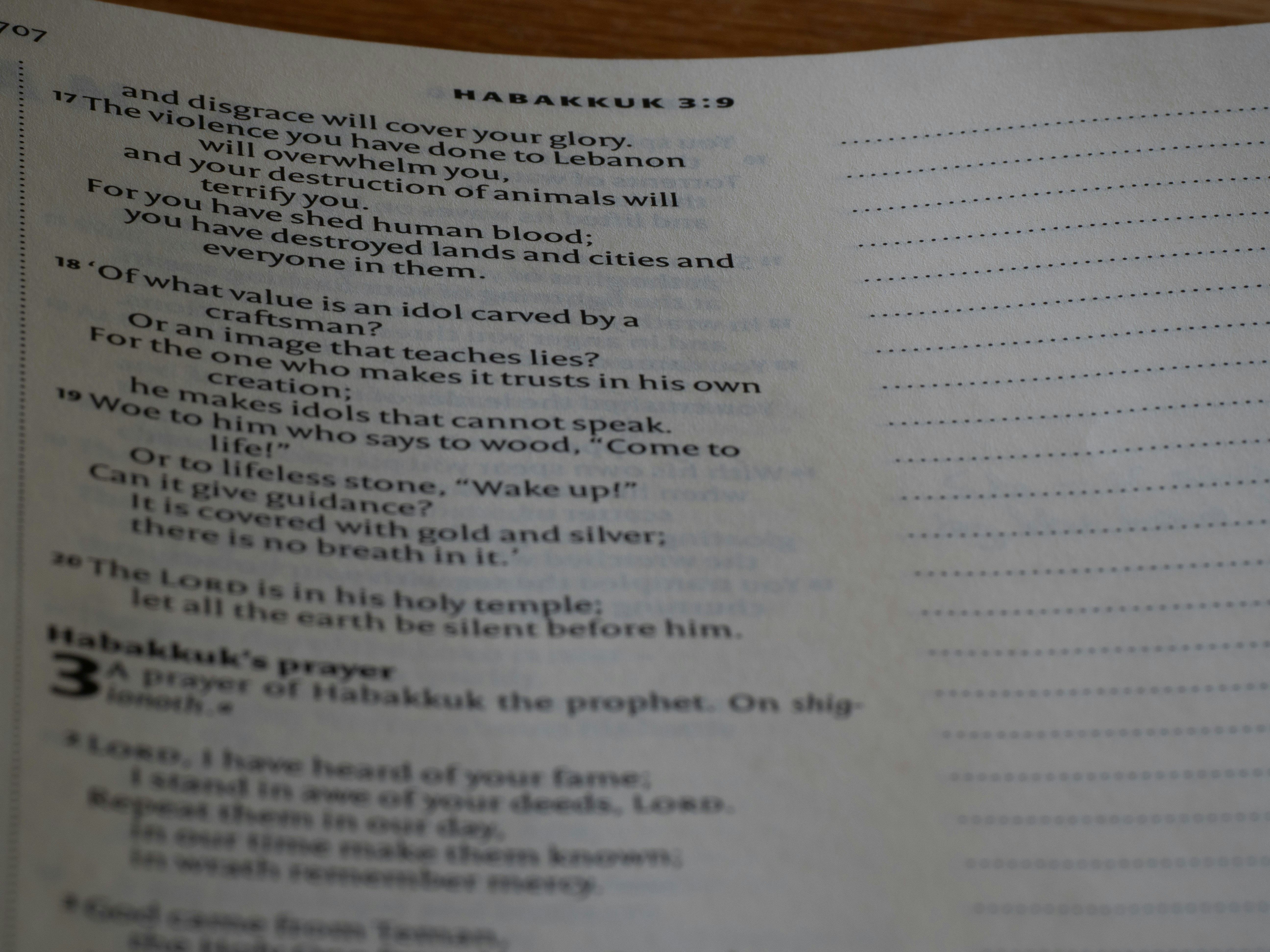 close up, bokeh, macro, blur, blurred background, close focus, bible, old testament, hebrew bible, christian, judaism, history, text, reading, bible study, devotions, New International Version, type, typography, canon, christianity, scripture, old testament, hebrew bible, habakkuk, minor prophet, Habacuc,