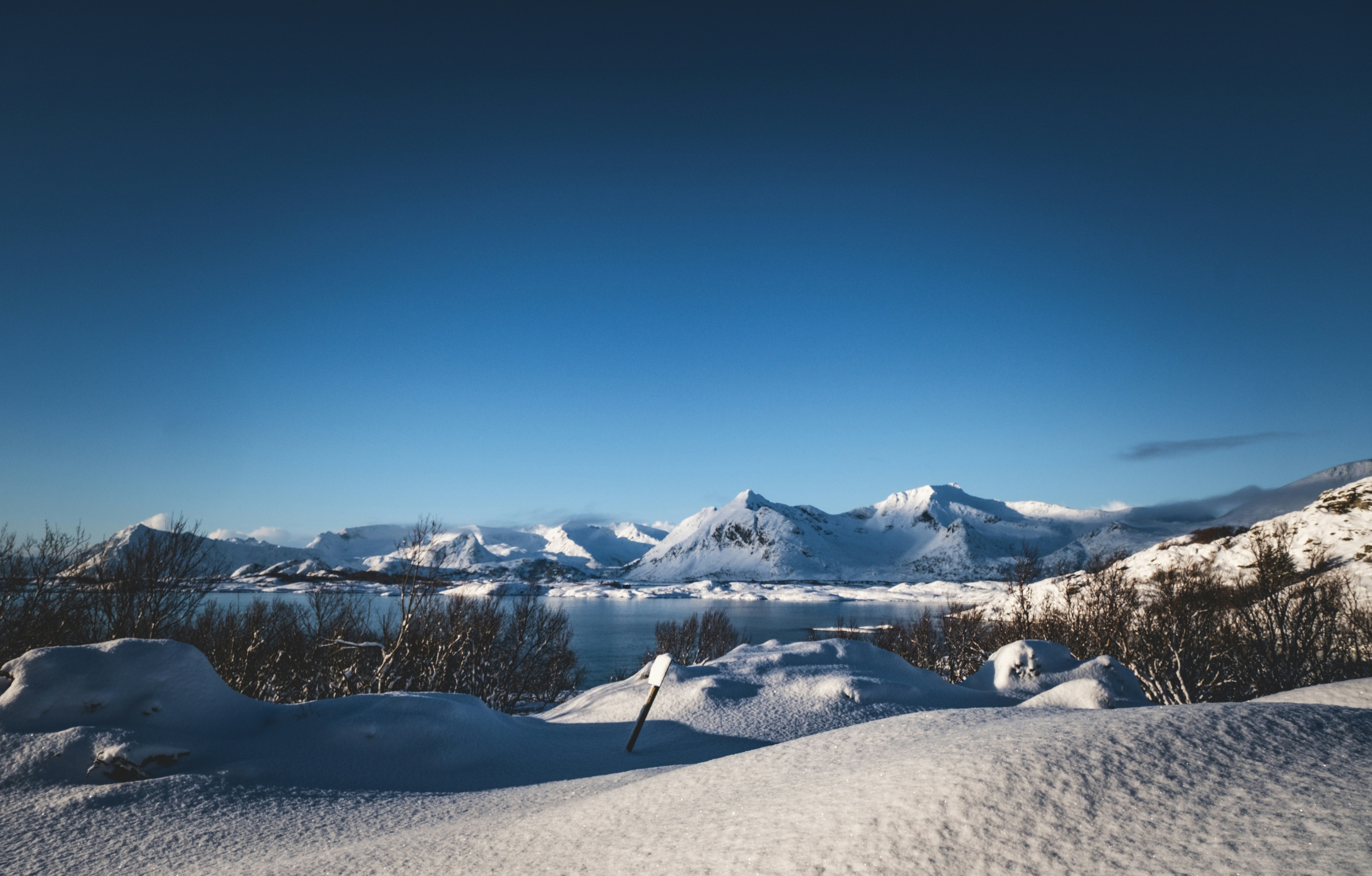 Photo by francesco_ungaro