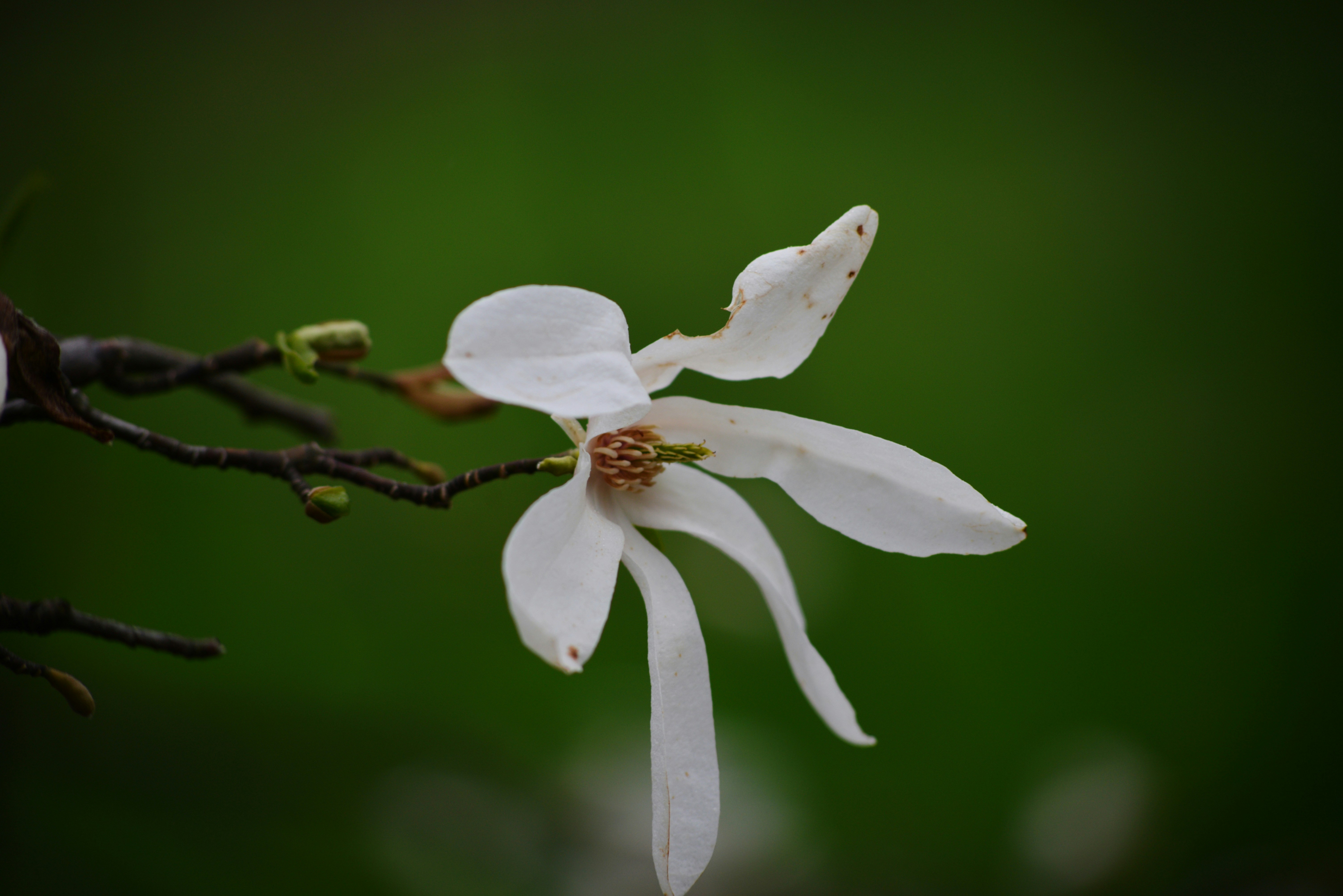 Photo by cherstve_pechivo