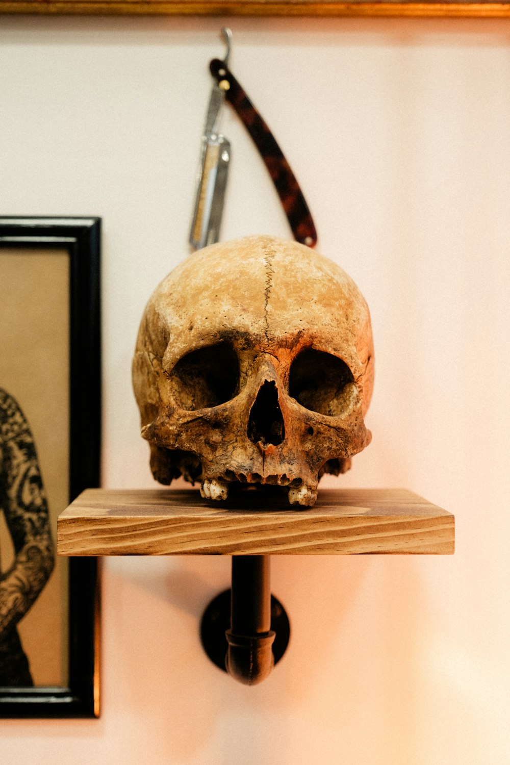 Un cráneo humano falso sentado encima de un estante de madera
