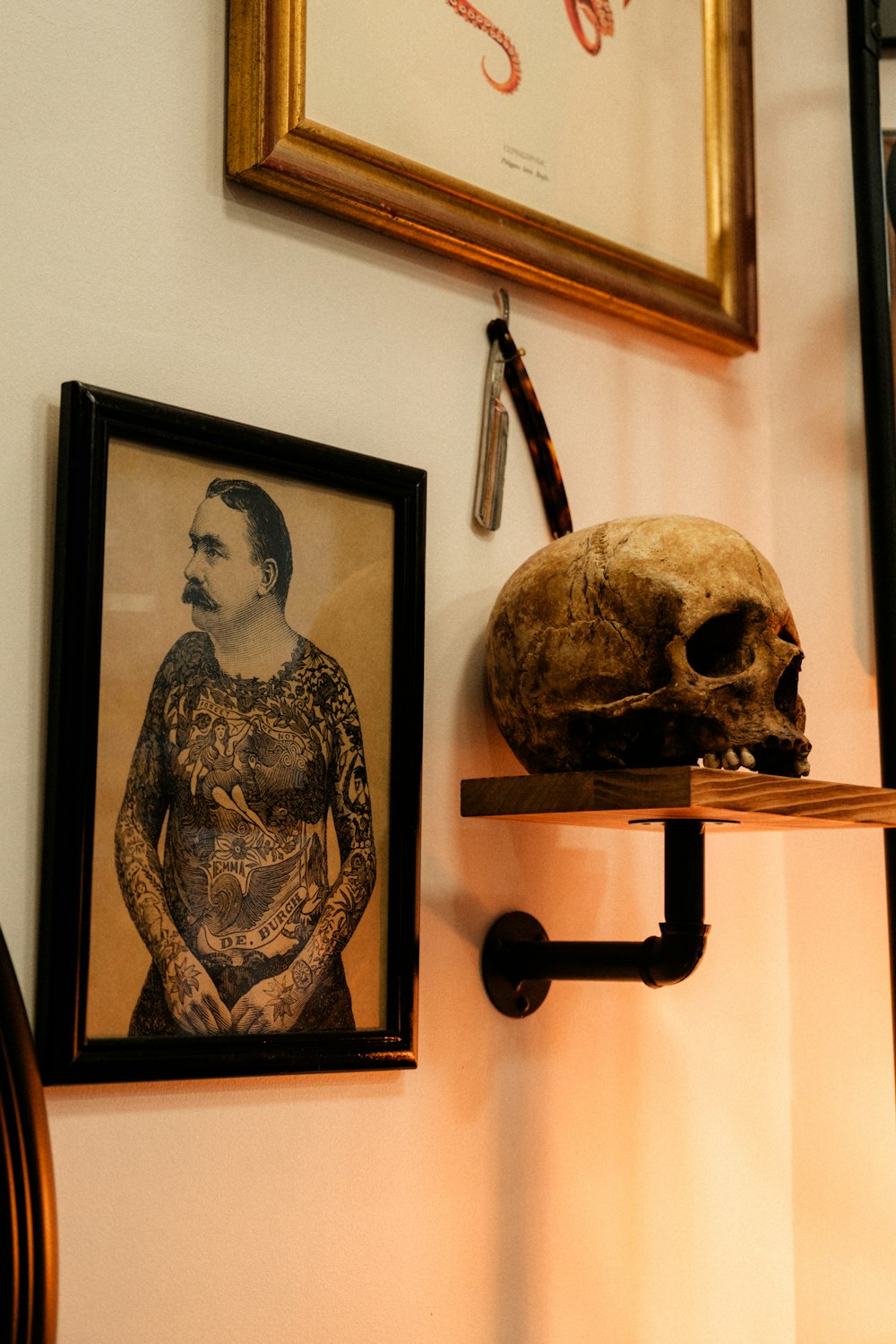 a skull and a framed photograph on a wall