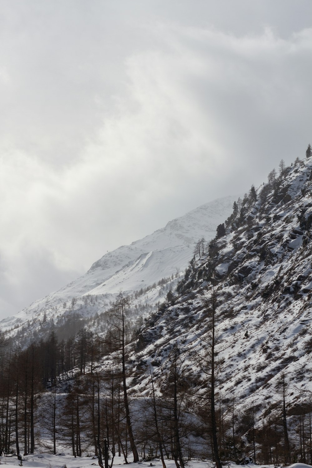 a snow covered mountain with trees on the side