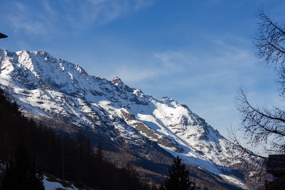 a snow covered mountain with trees in the foreground