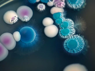 a group of blue and white objects on a black surface
