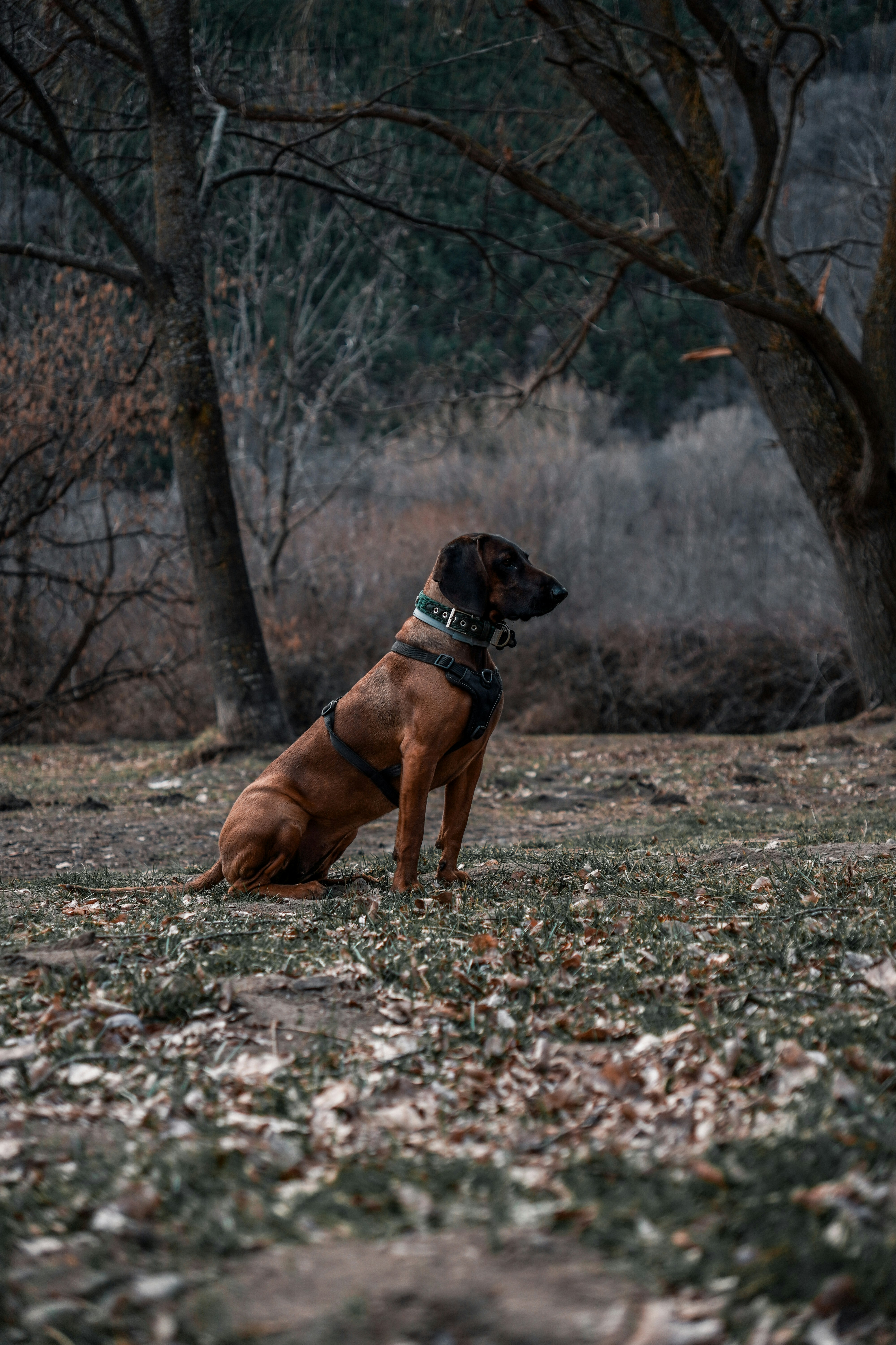 Photo by willgonzalez9