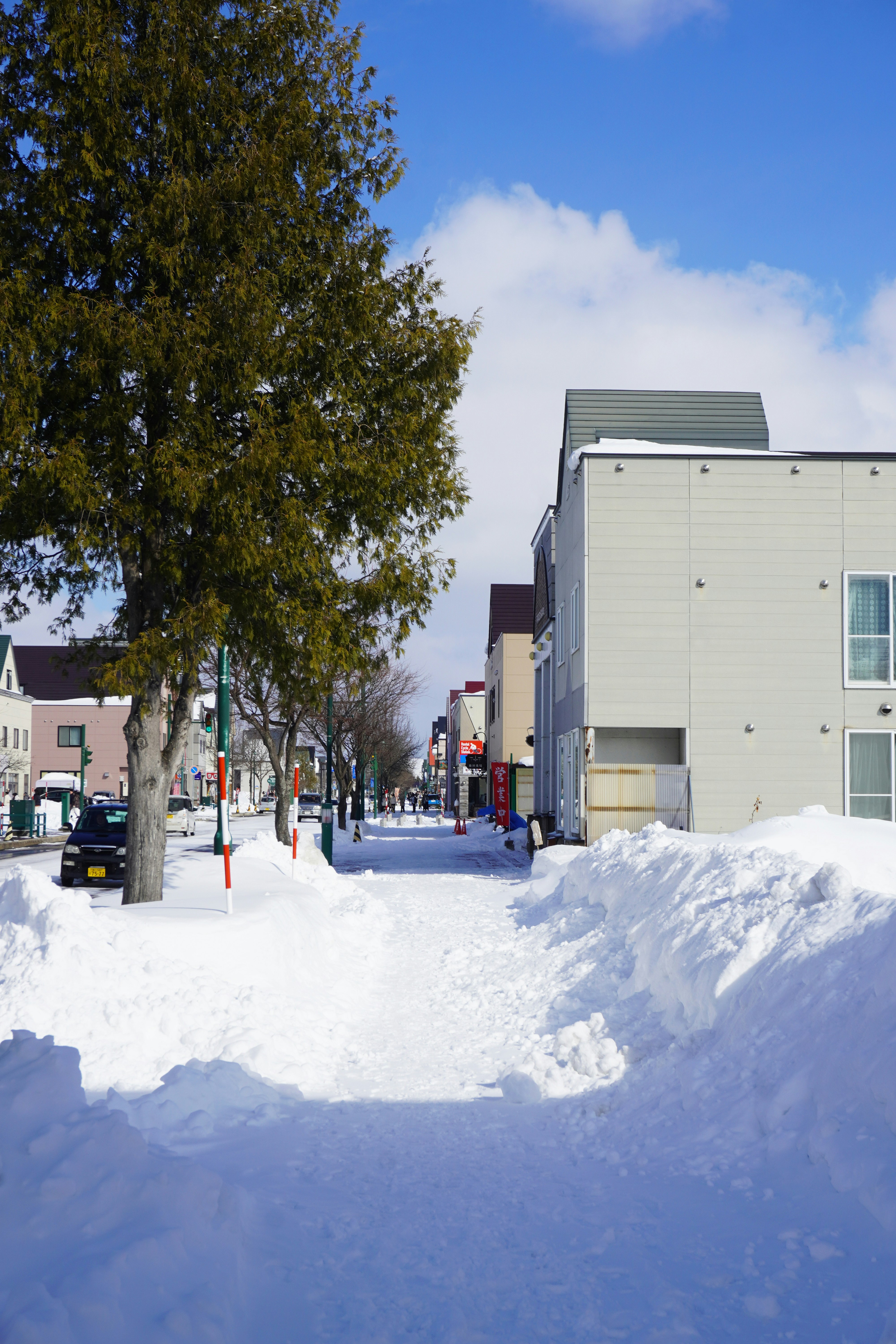 Photo by puhihihi1018