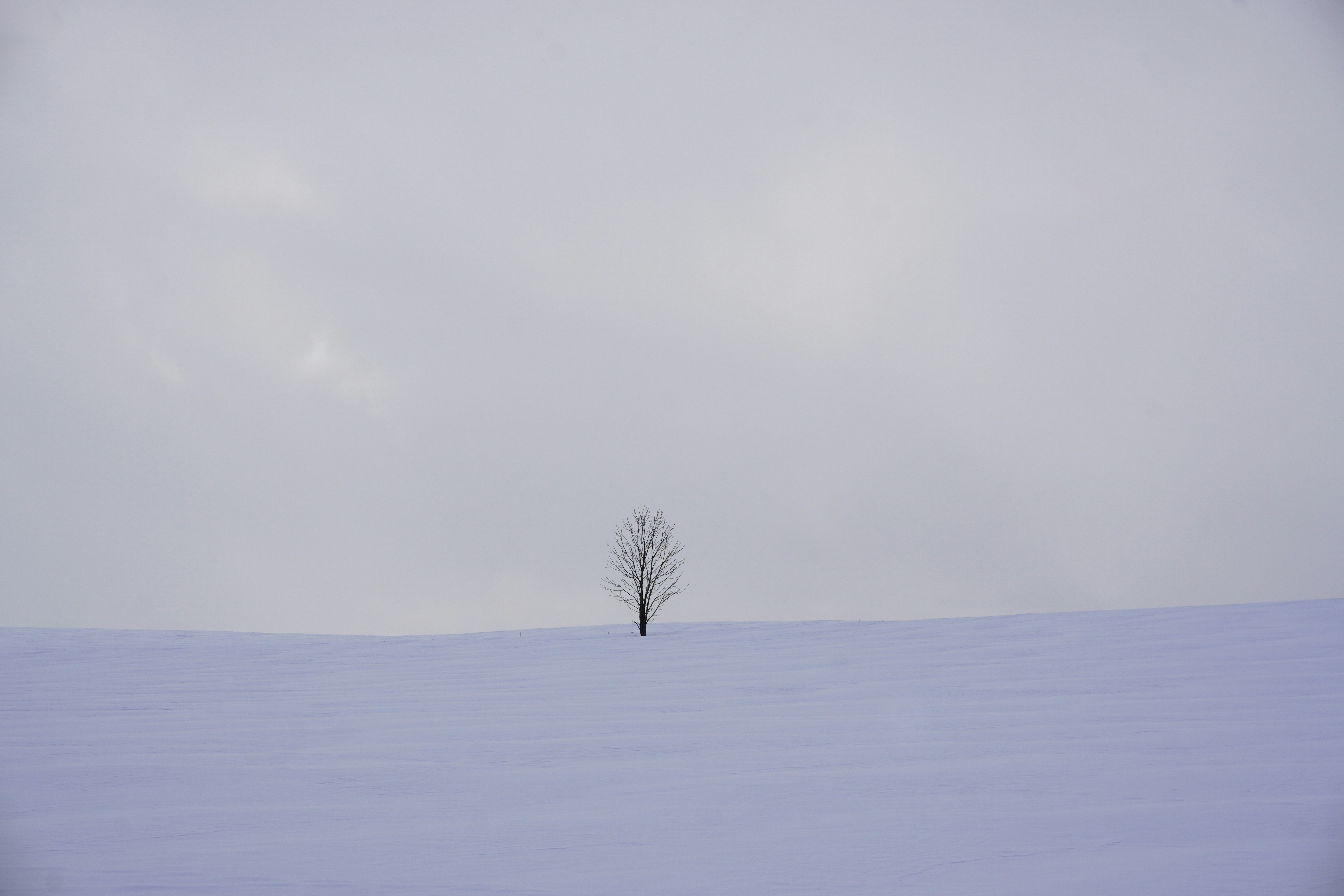 Photo by puhihihi1018