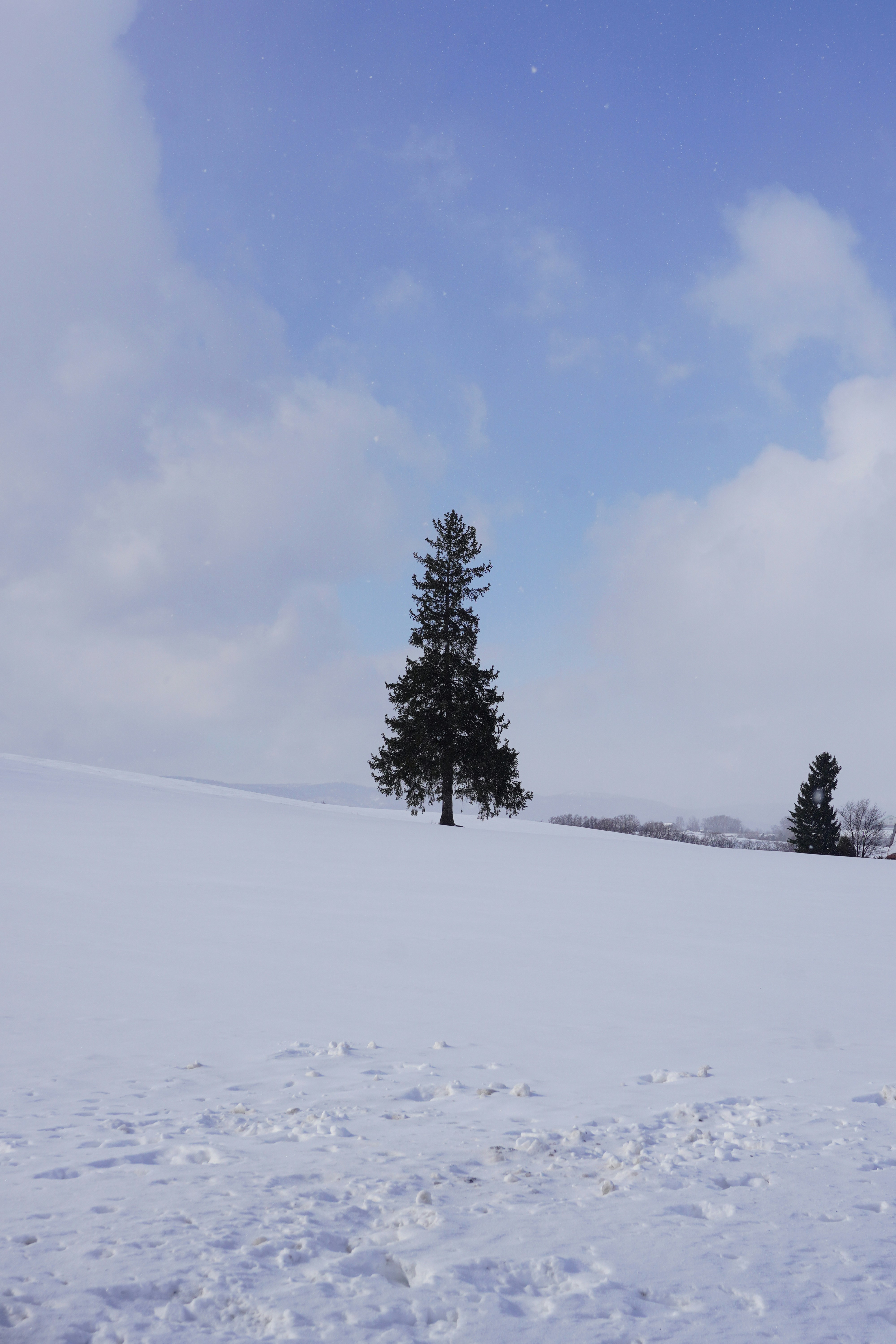 Photo by puhihihi1018