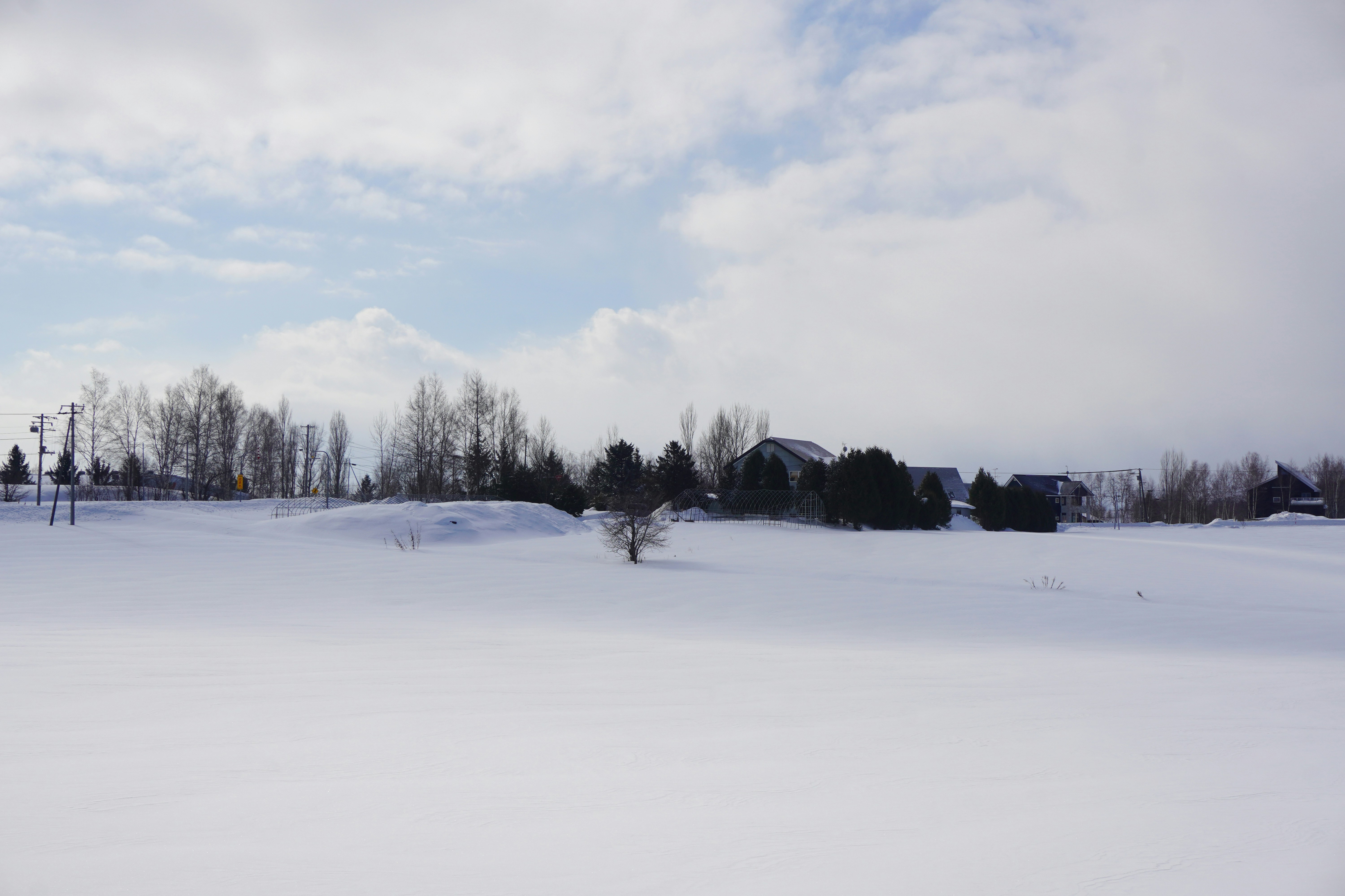 Photo by puhihihi1018