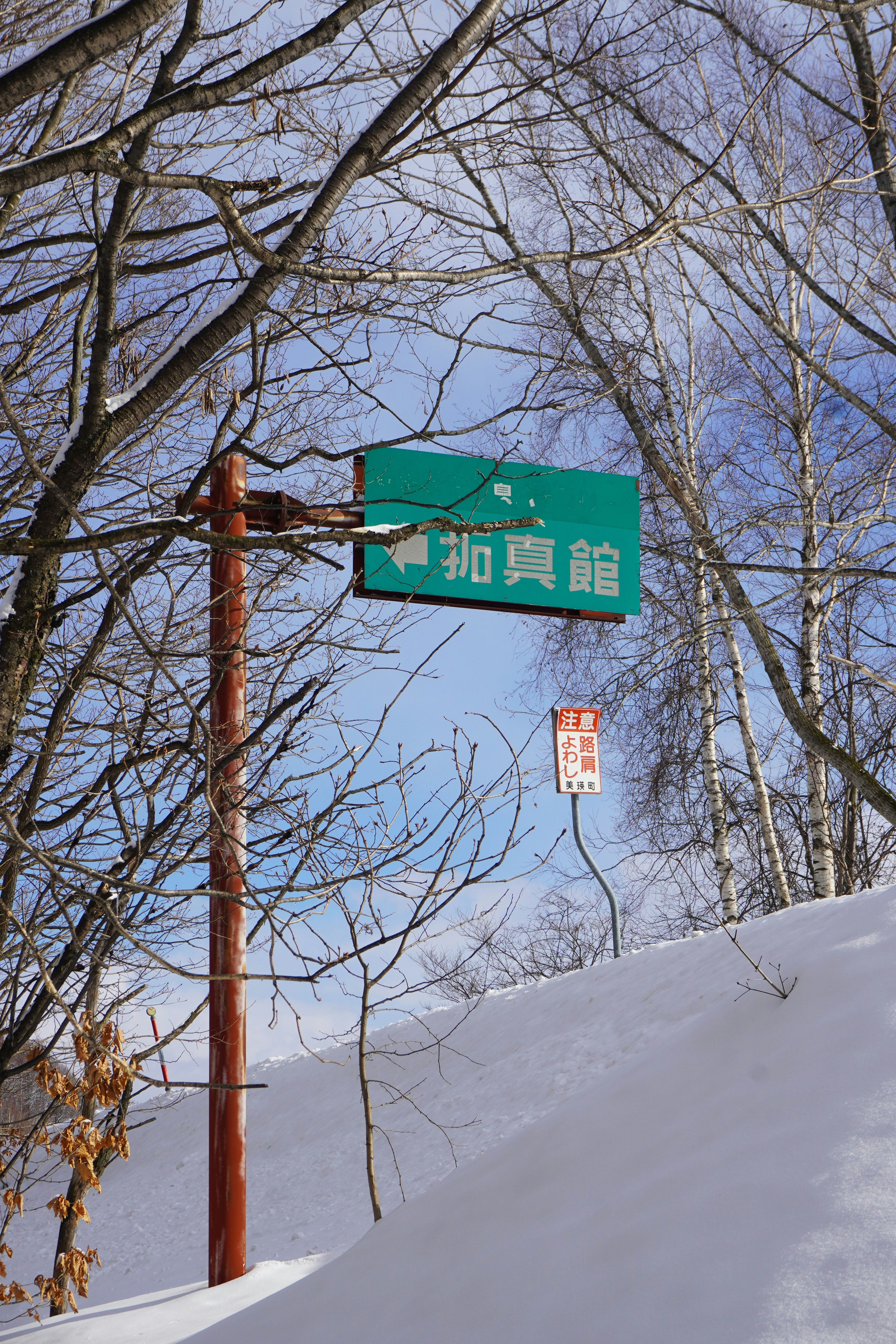 Photo by puhihihi1018