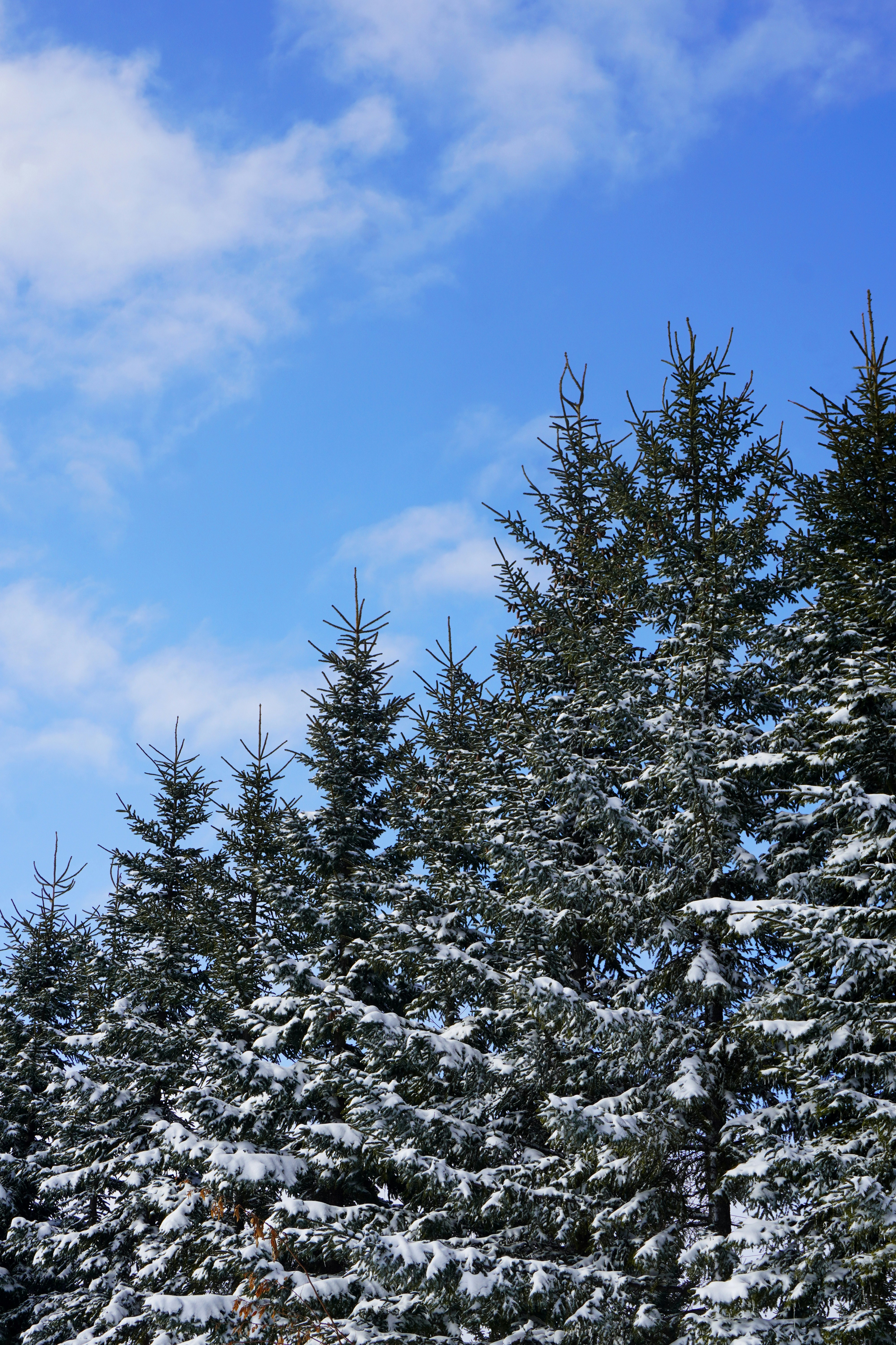 Photo by puhihihi1018