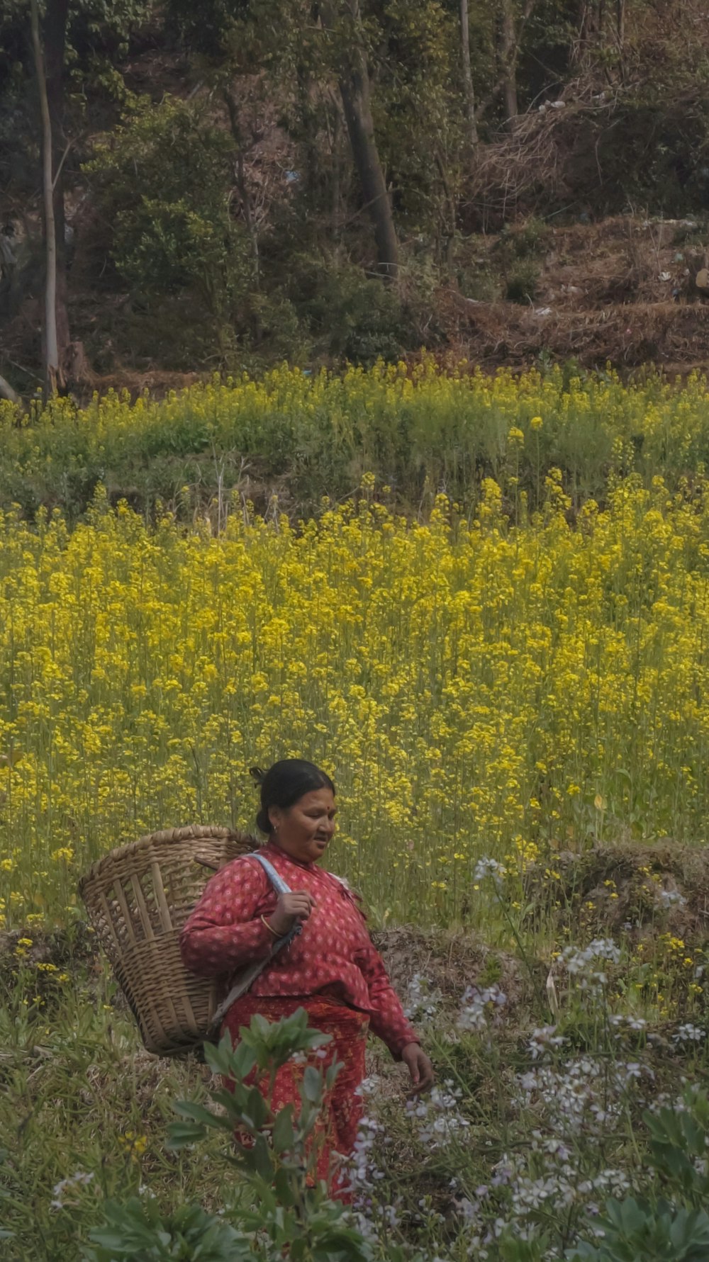 a woman carrying a basket in a field of flowers