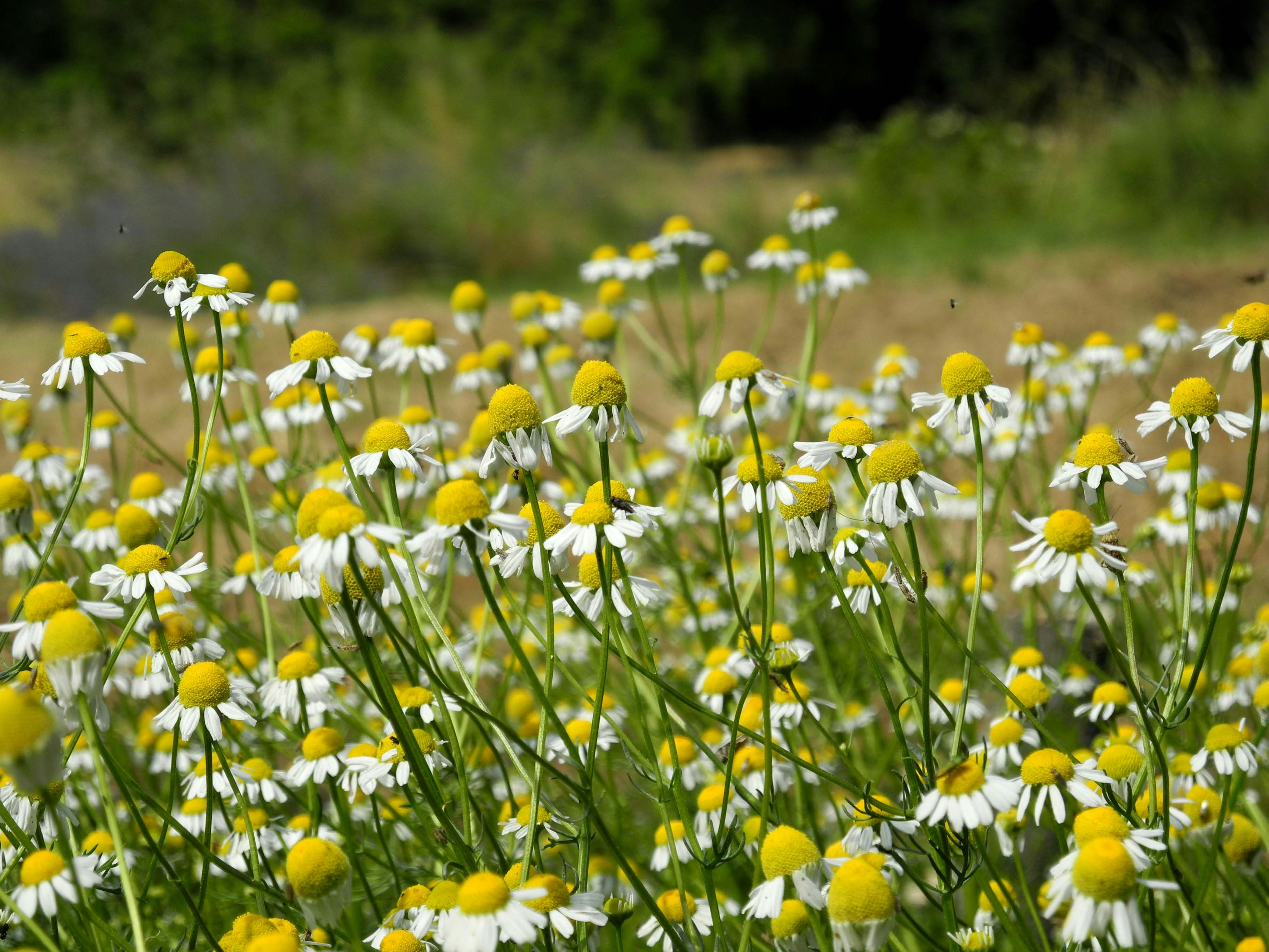 Photo by alessandro_77