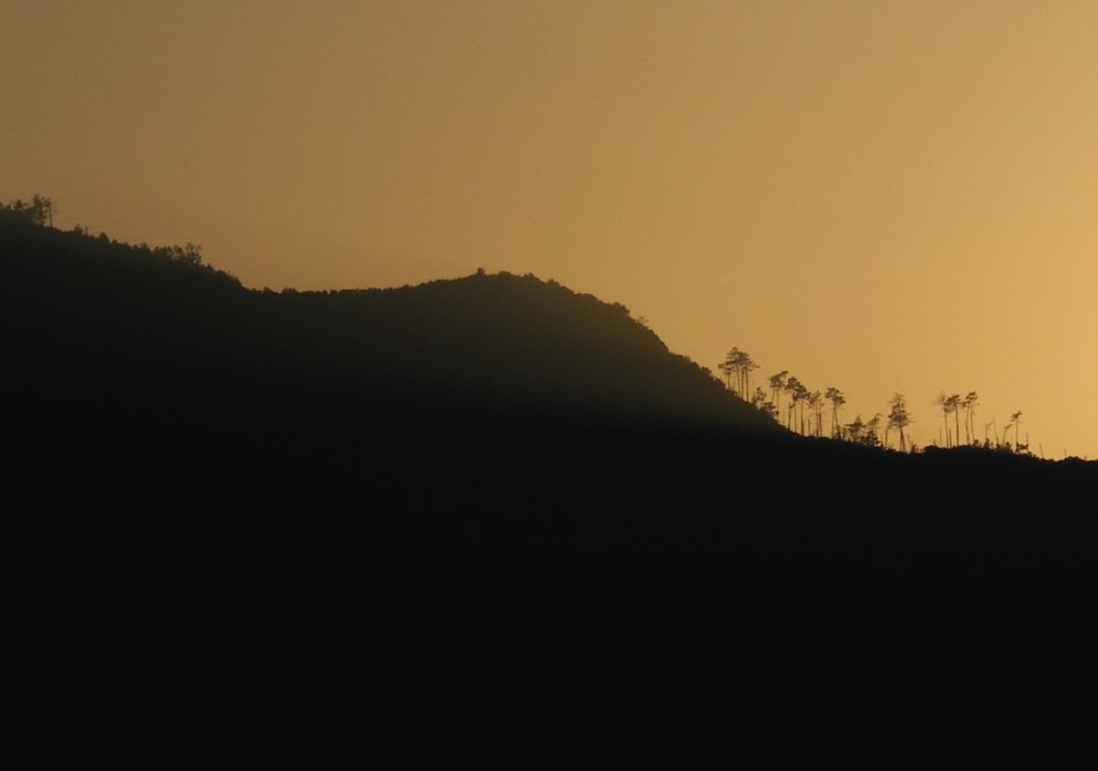 the silhouette of a hill with trees on it