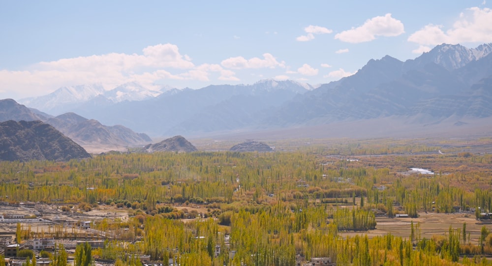 a view of a valley with mountains in the background