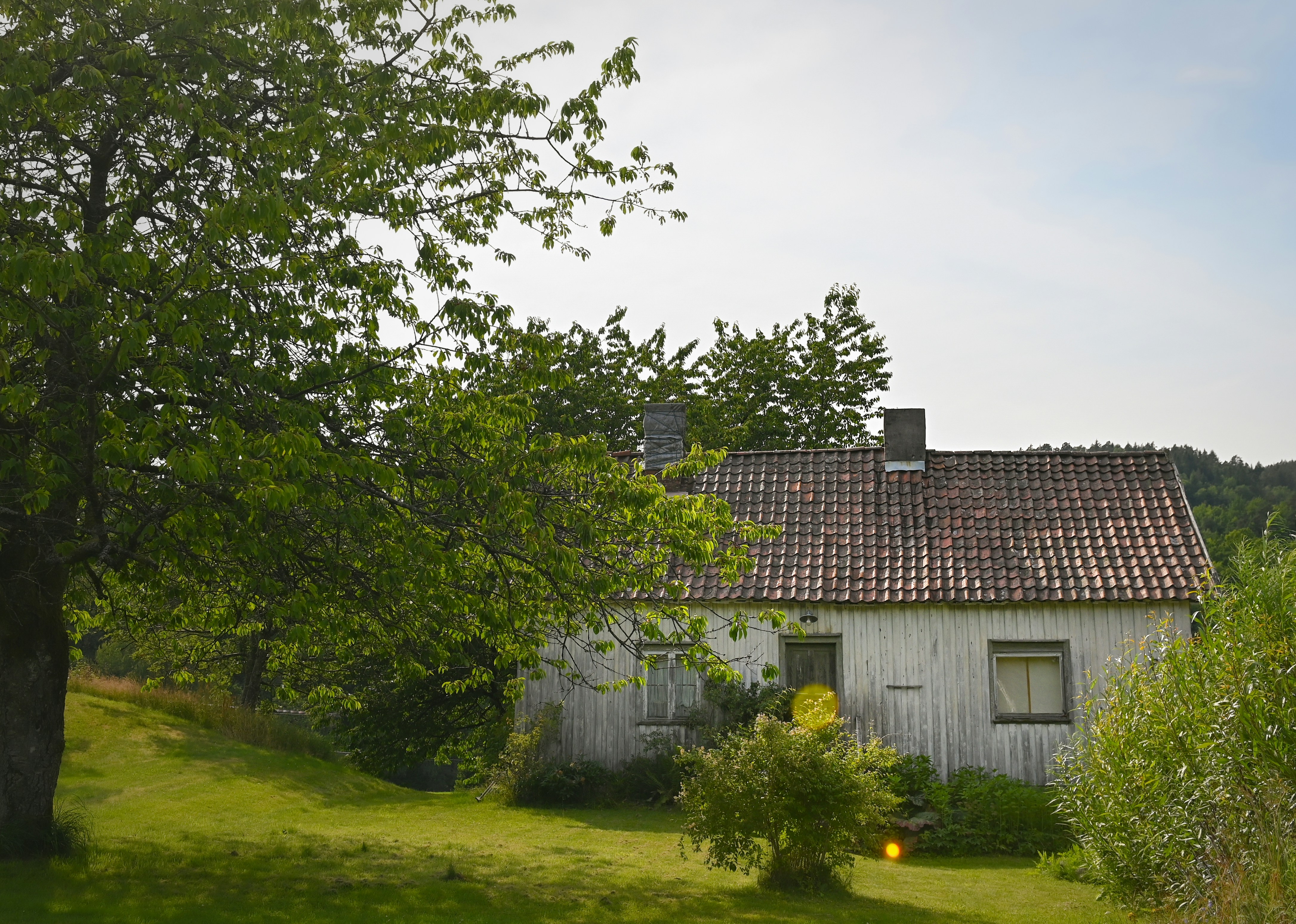 Photo by alexandra_p_d