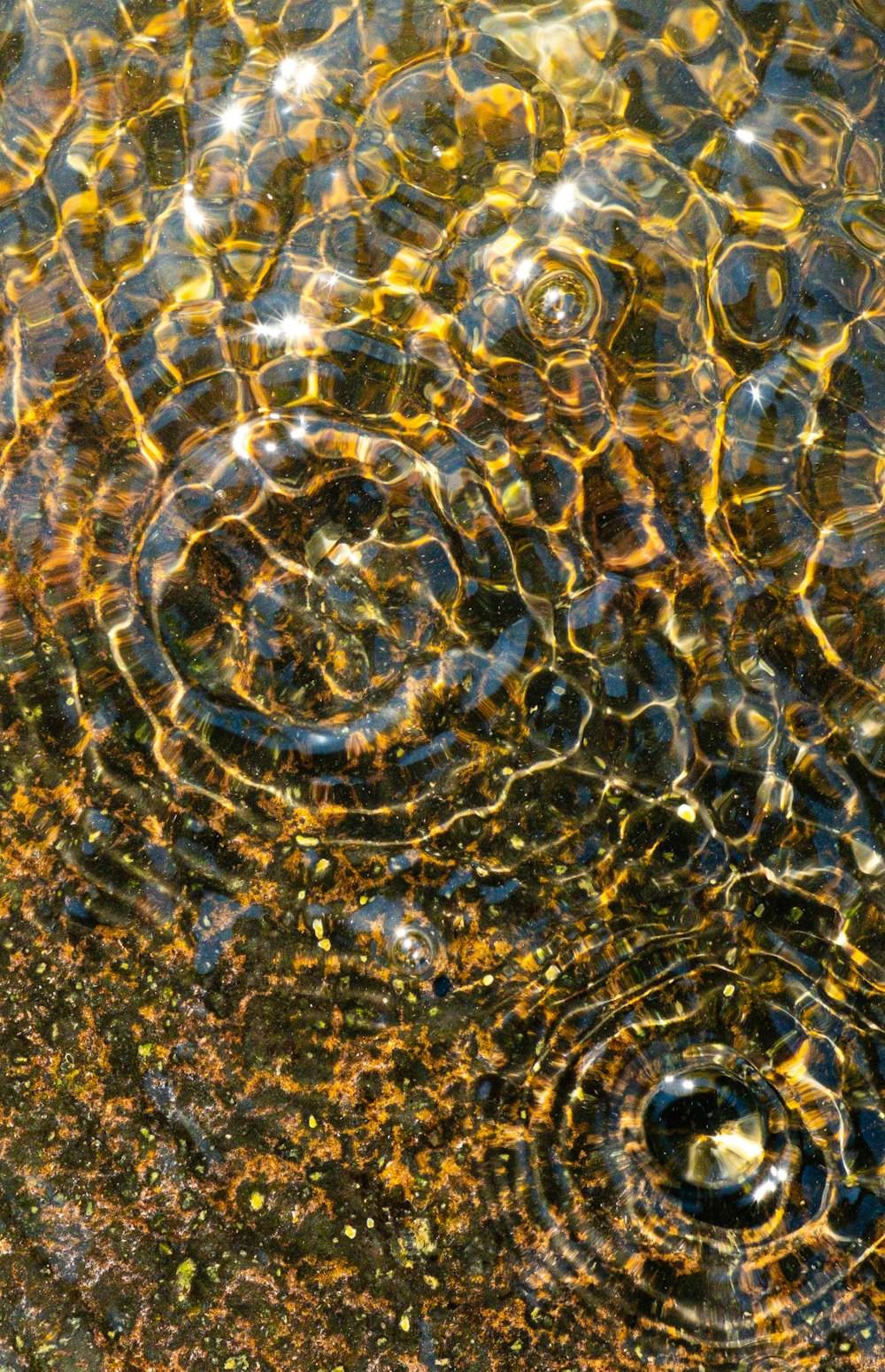 a close up of water with bubbles in it