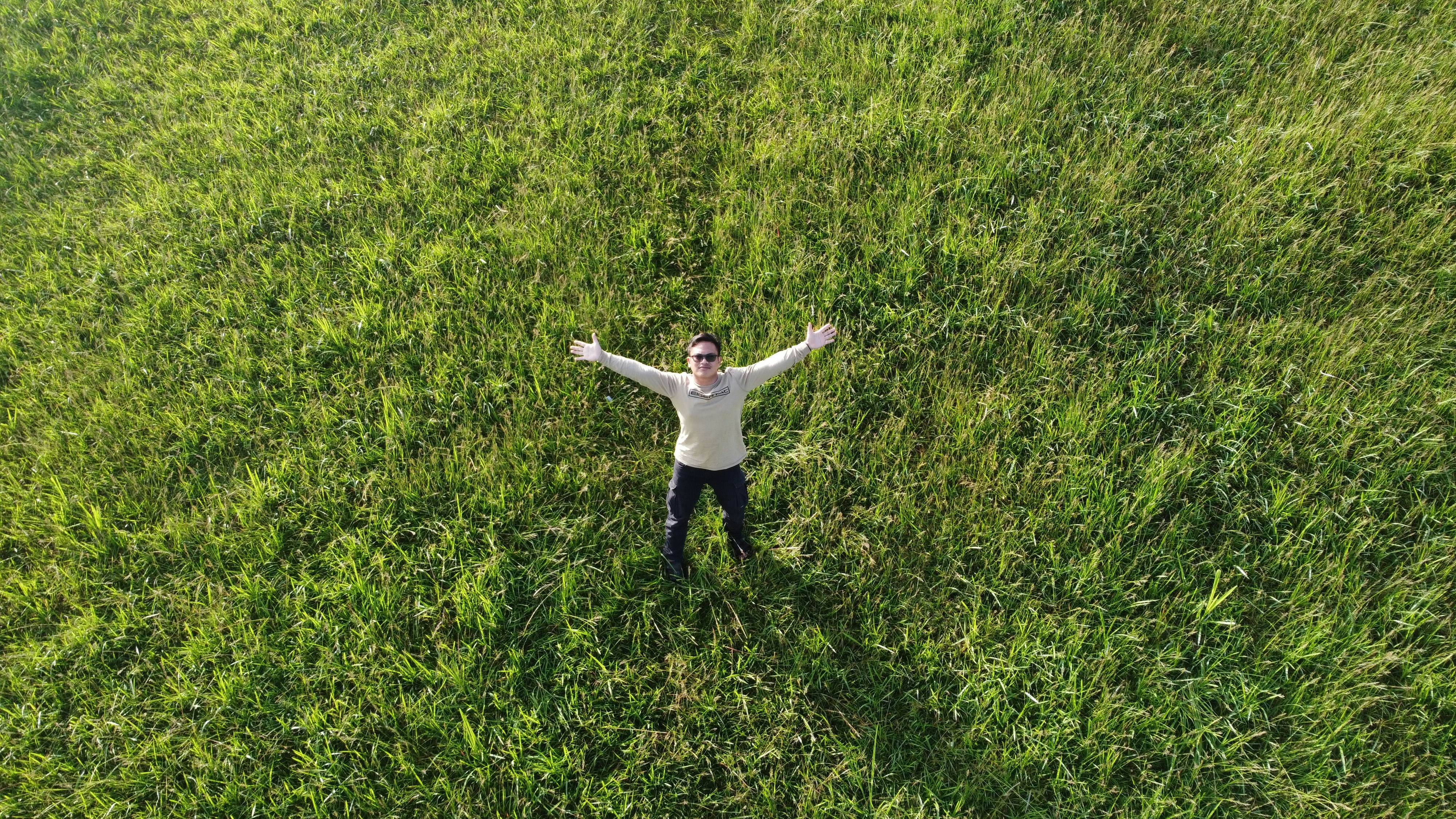 A man standing in a field of tall grass photo – Free Green Image on ...