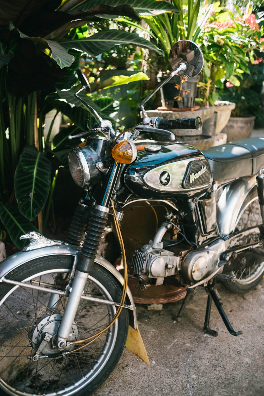 a motorcycle parked in front of some plants