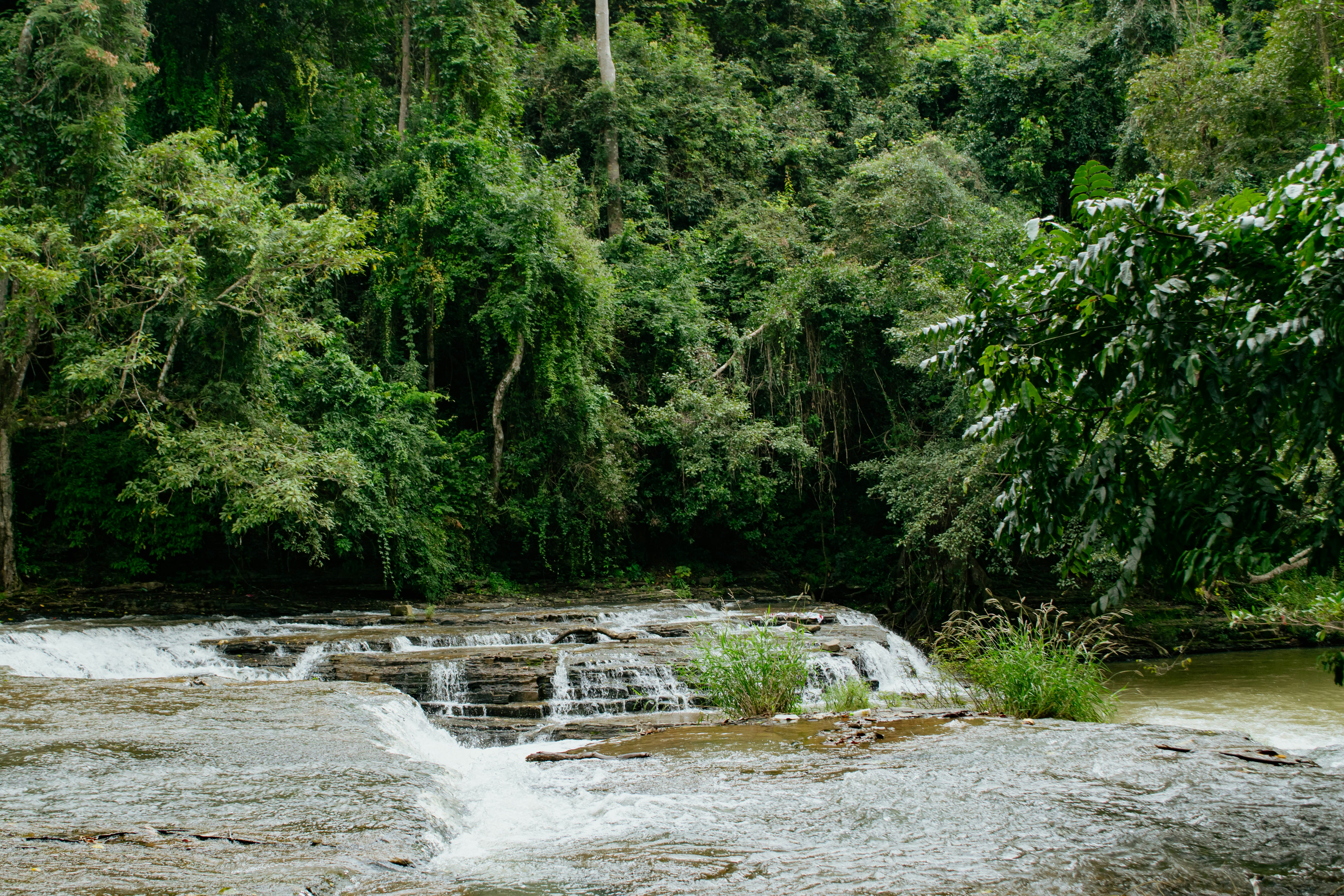 Photo by hoanganh_dreamplanie