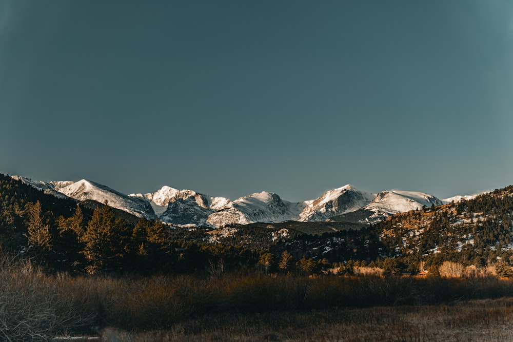 the mountains are covered in snow and brown grass