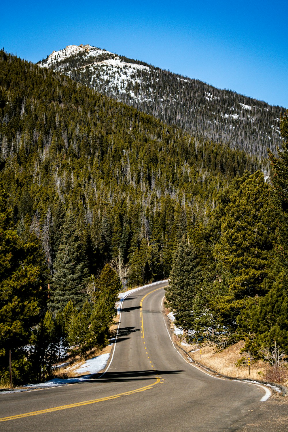 a road with a mountain in the background