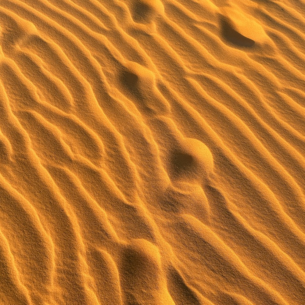 砂漠の砂の足跡