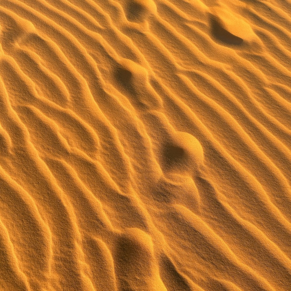 empreintes de pas dans le sable d’un désert