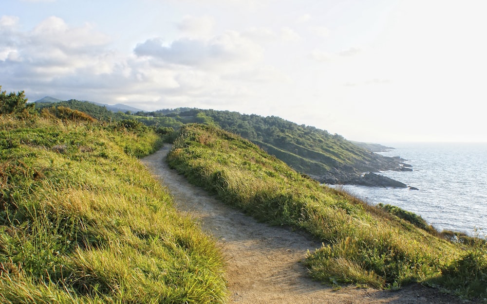 a path going up a hill to the ocean