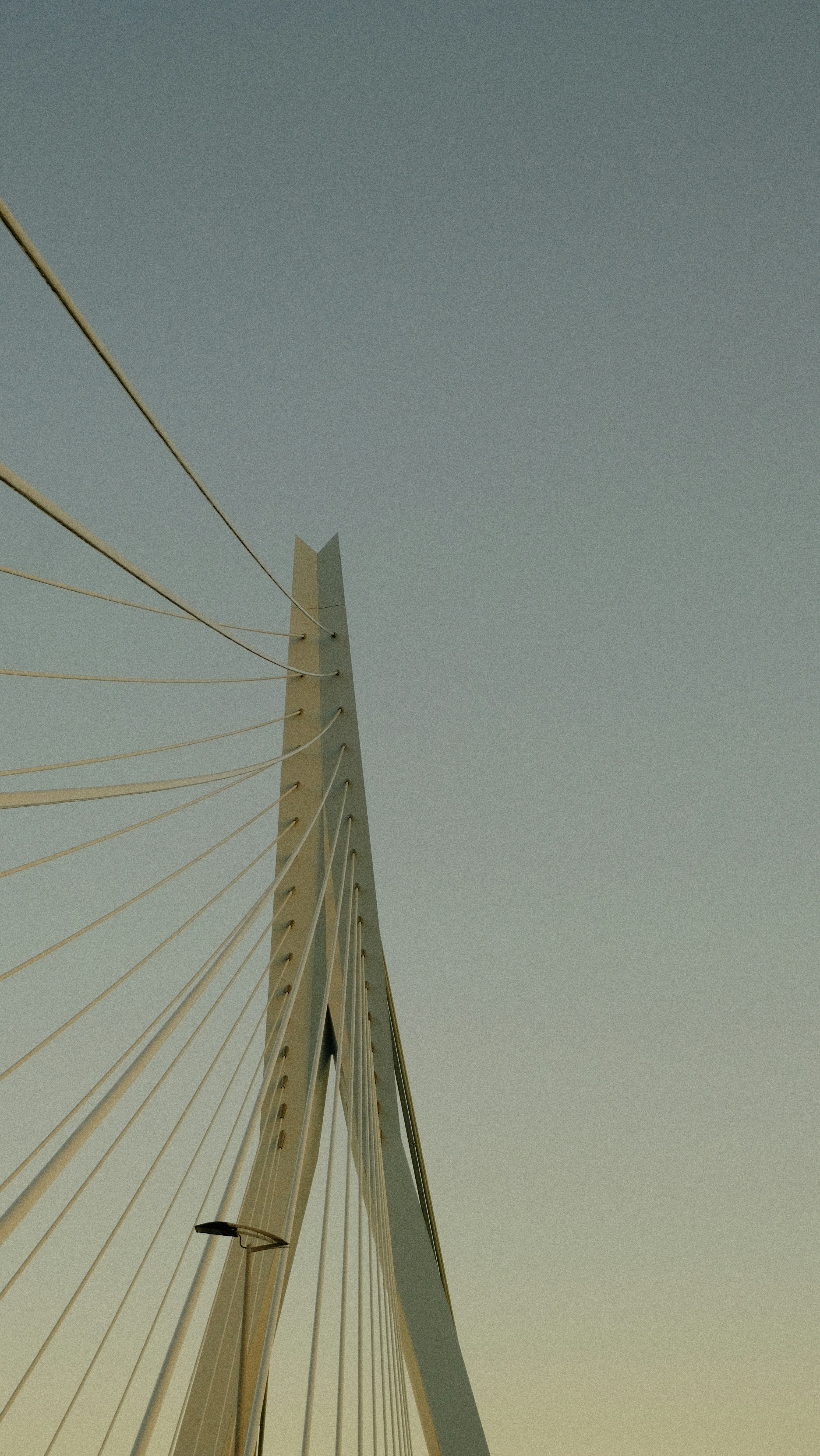 Photo by juniorphoto