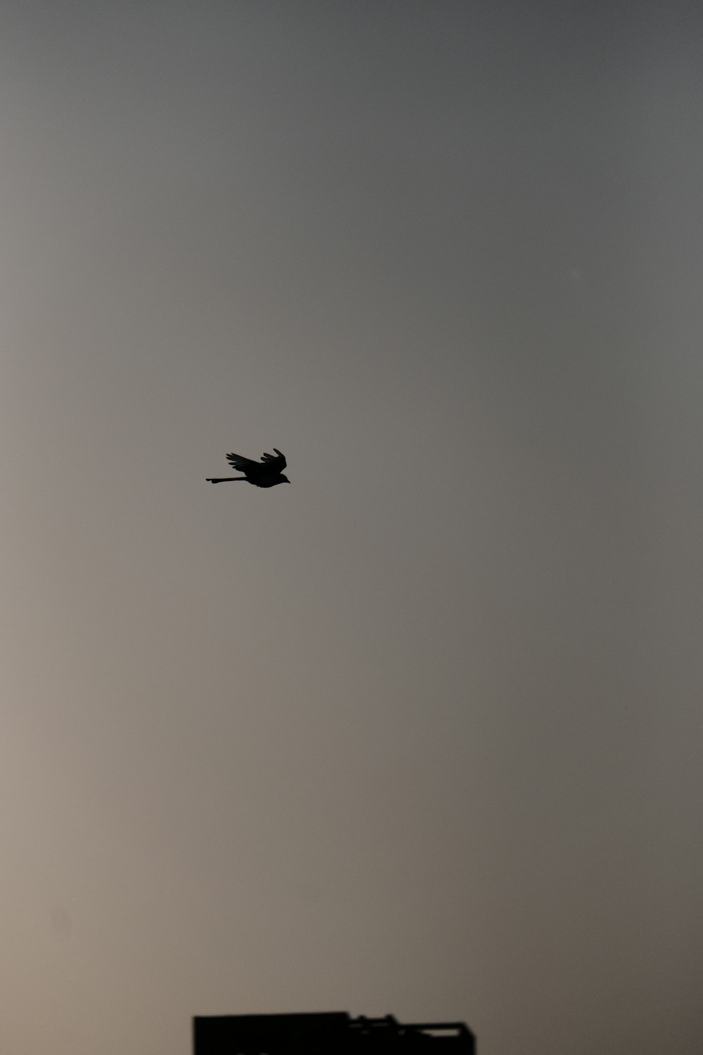 a bird flying in the sky with a building in the background