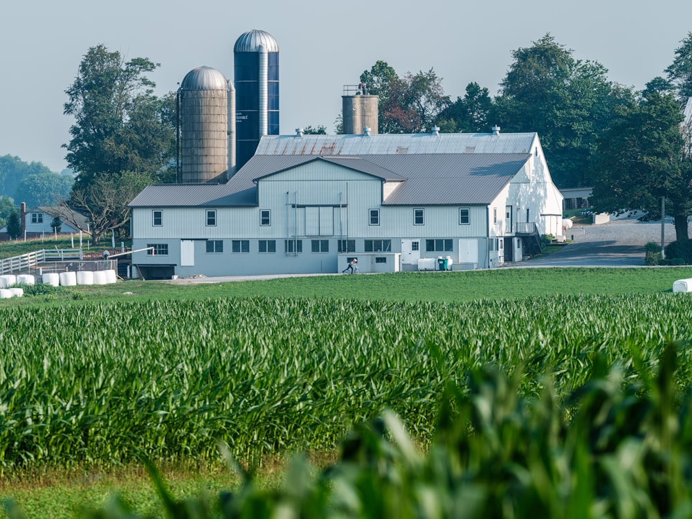 a farm with a barn and silos in the background
