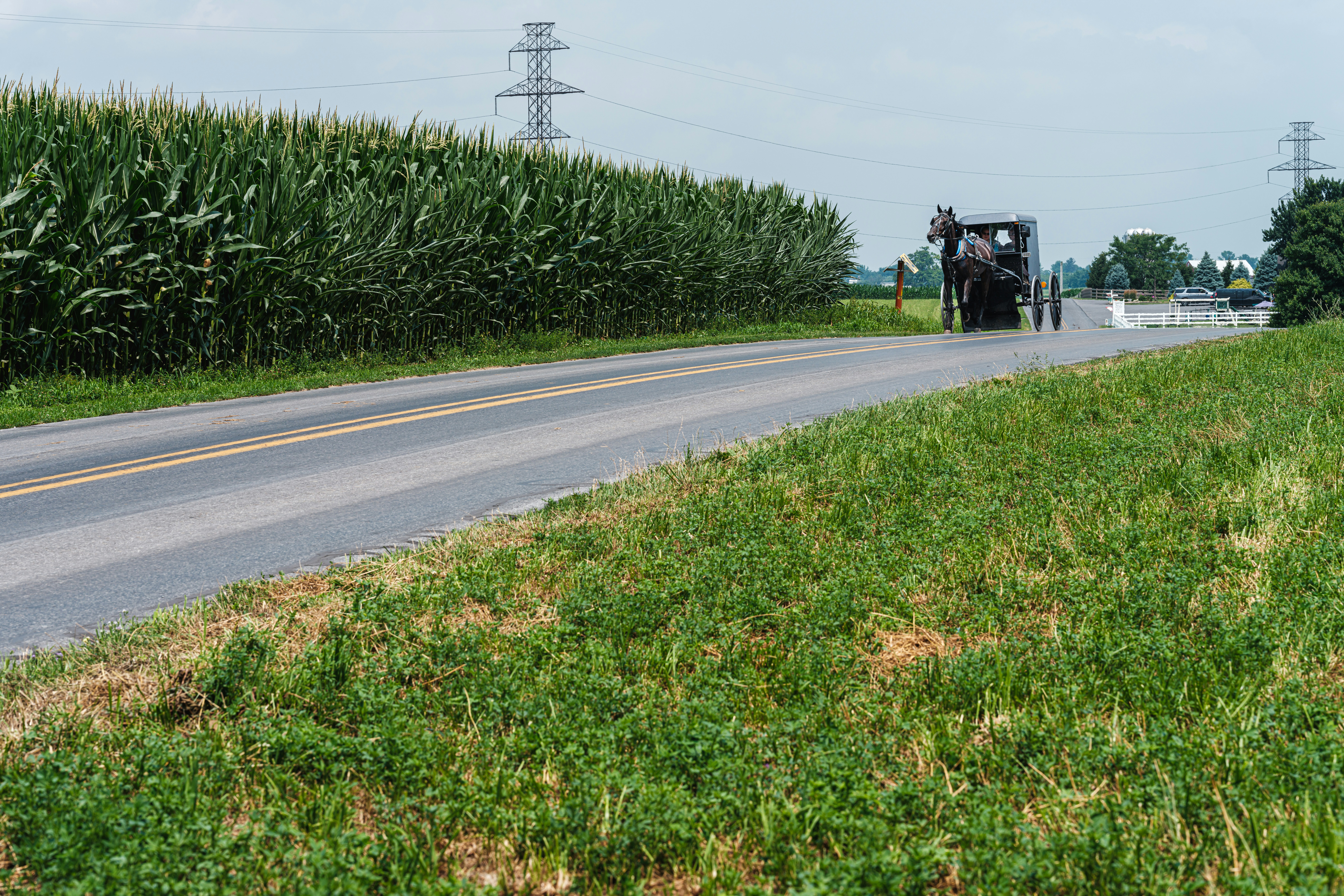un tracteur roulant sur une route de campagne à côté d’un champ de maïs