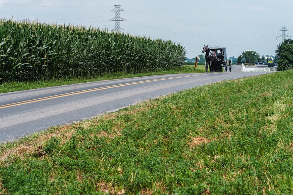 a tractor driving down a country road next to a corn field