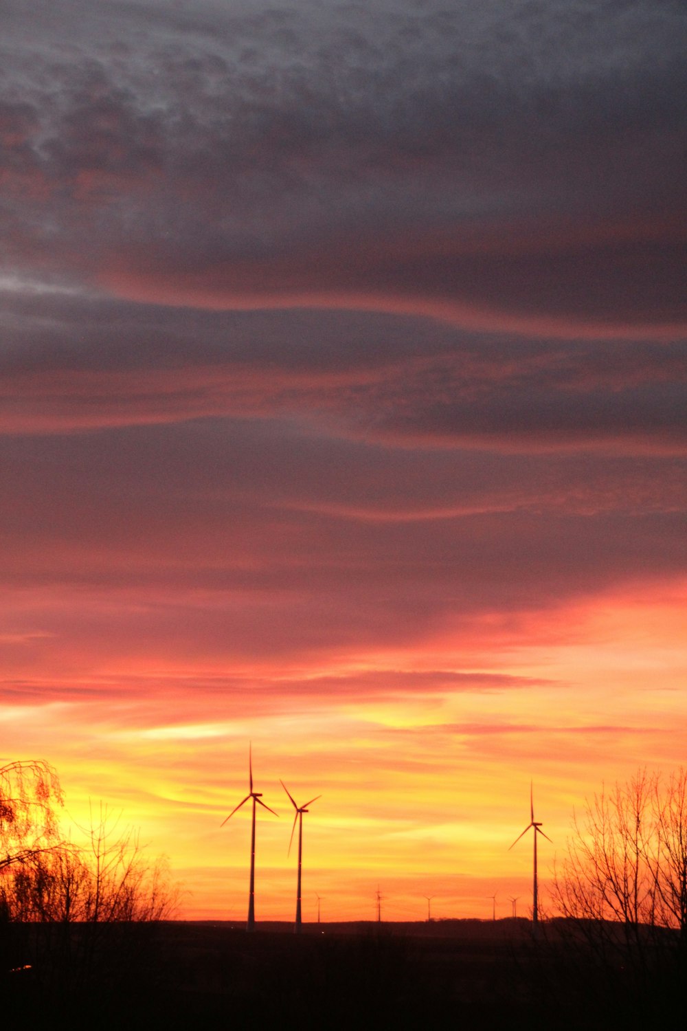 a group of windmills in a field at sunset