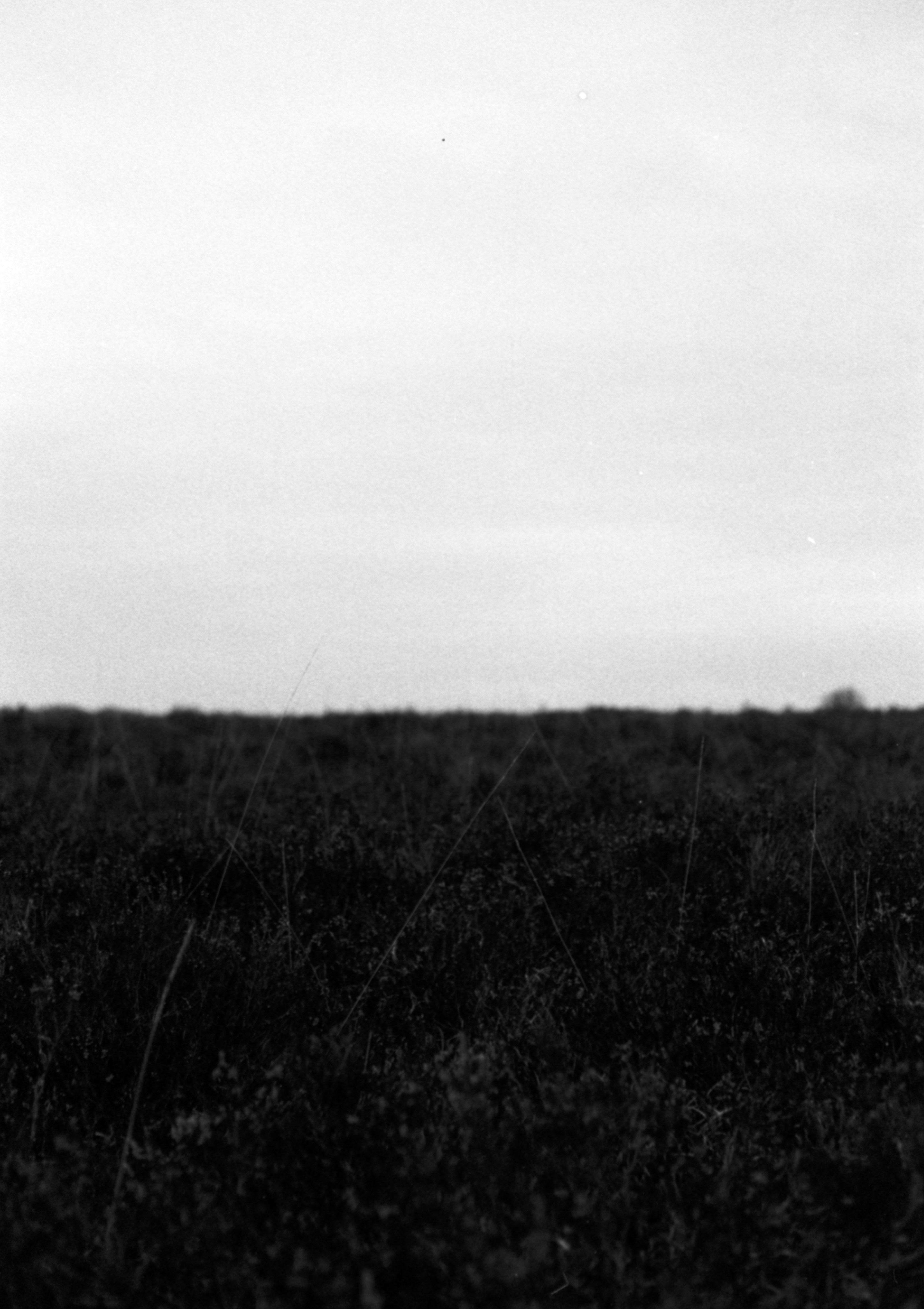 Photo by anniespratt