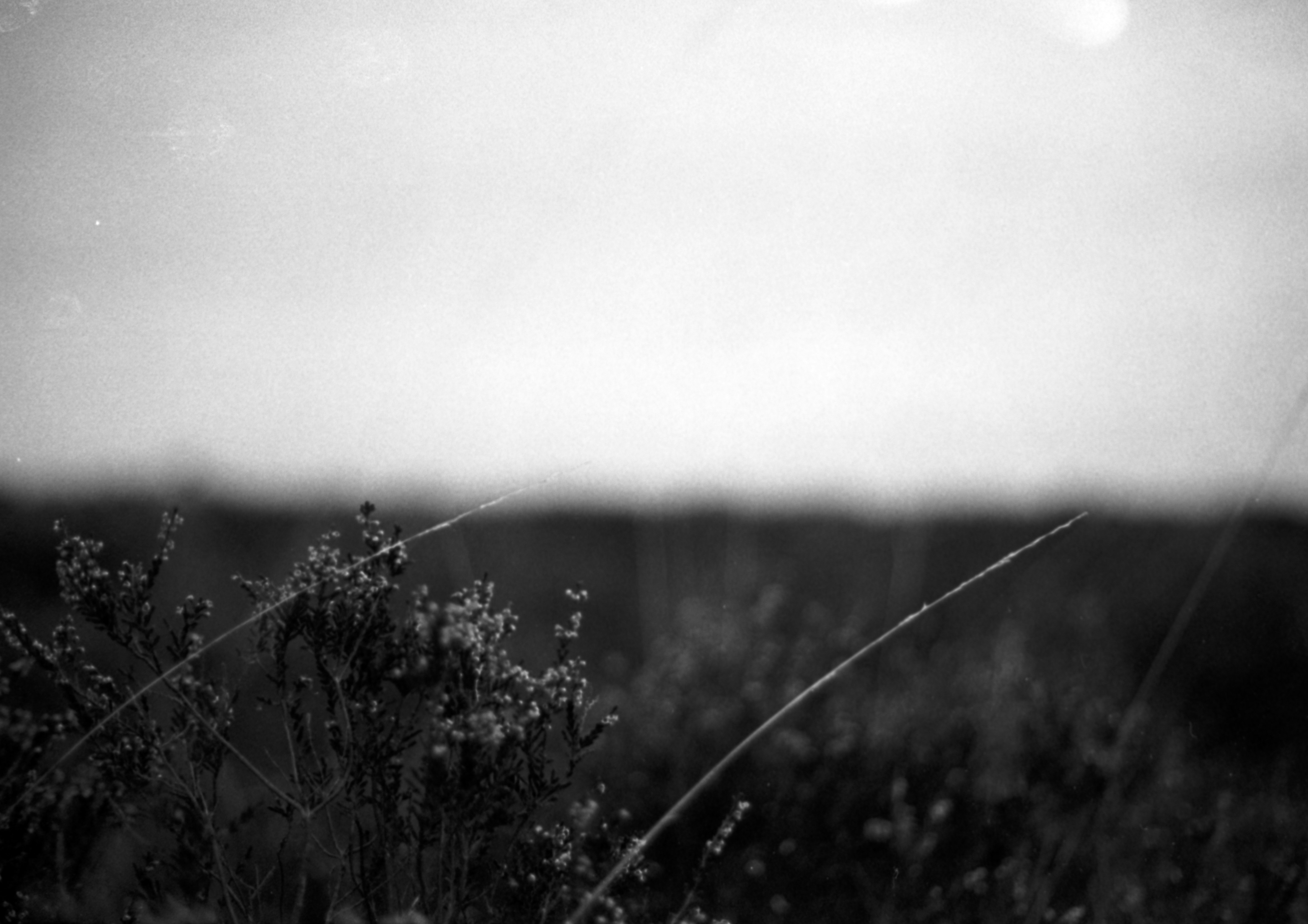 Photo by anniespratt