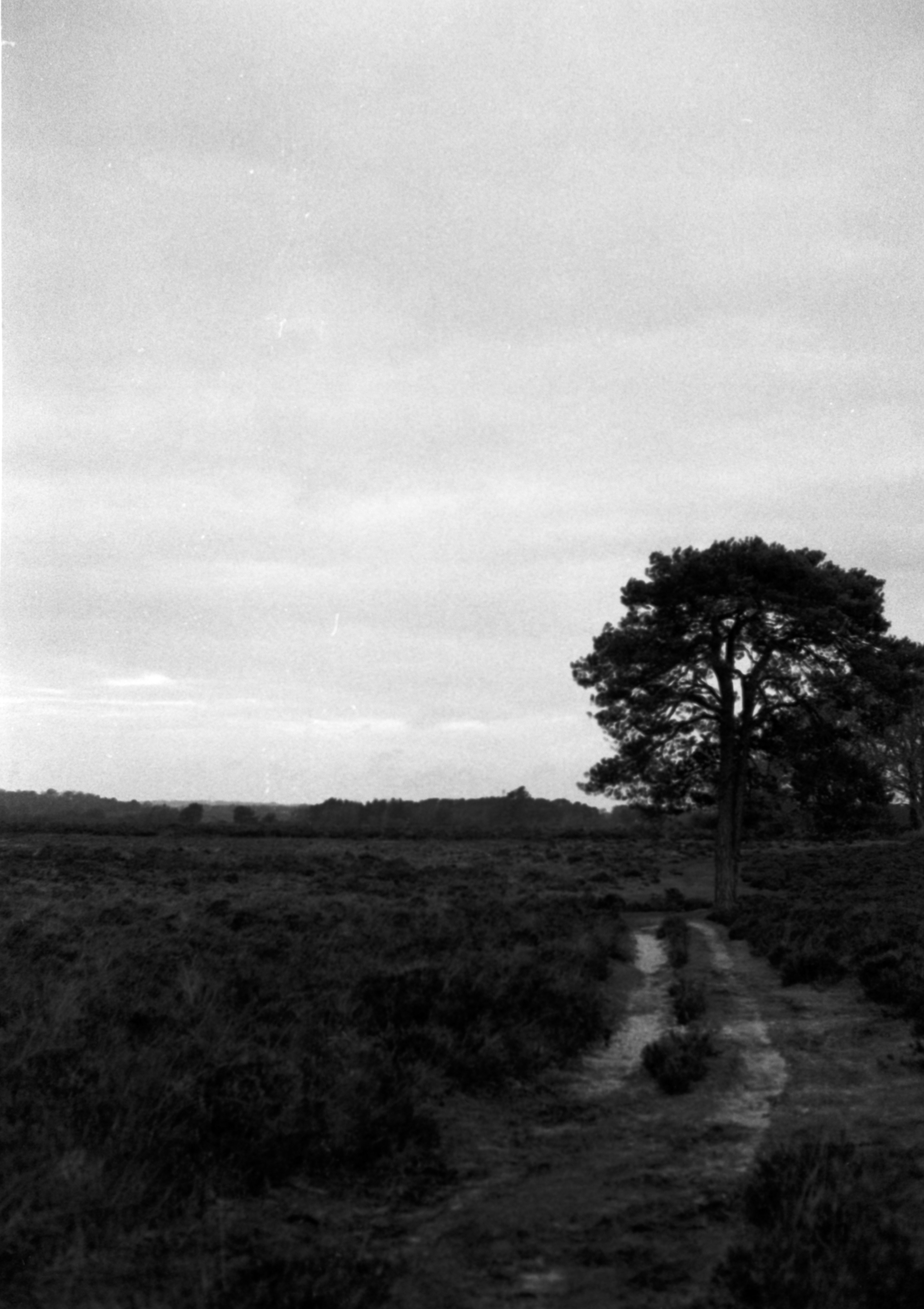 Photo by anniespratt