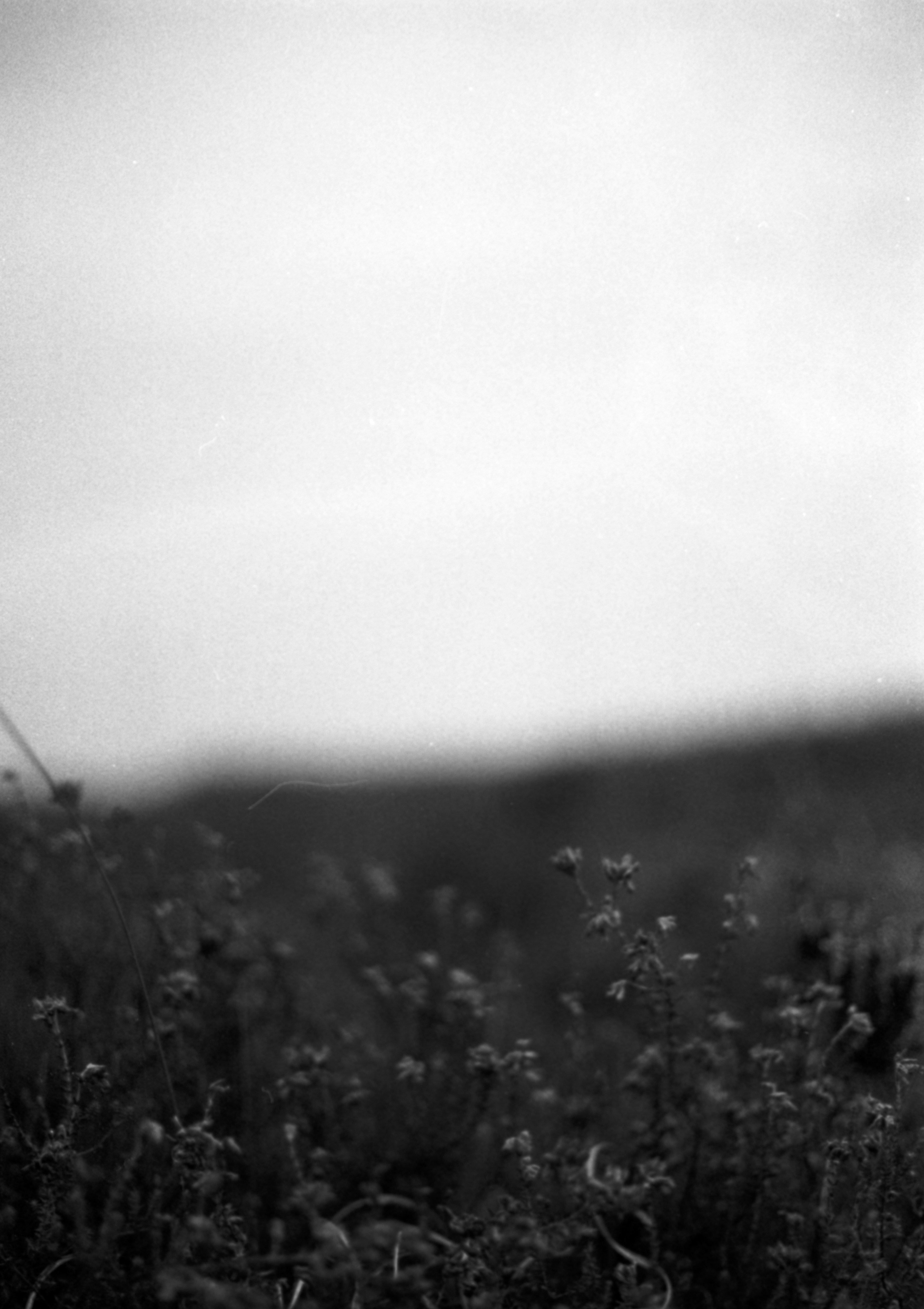 Photo by anniespratt