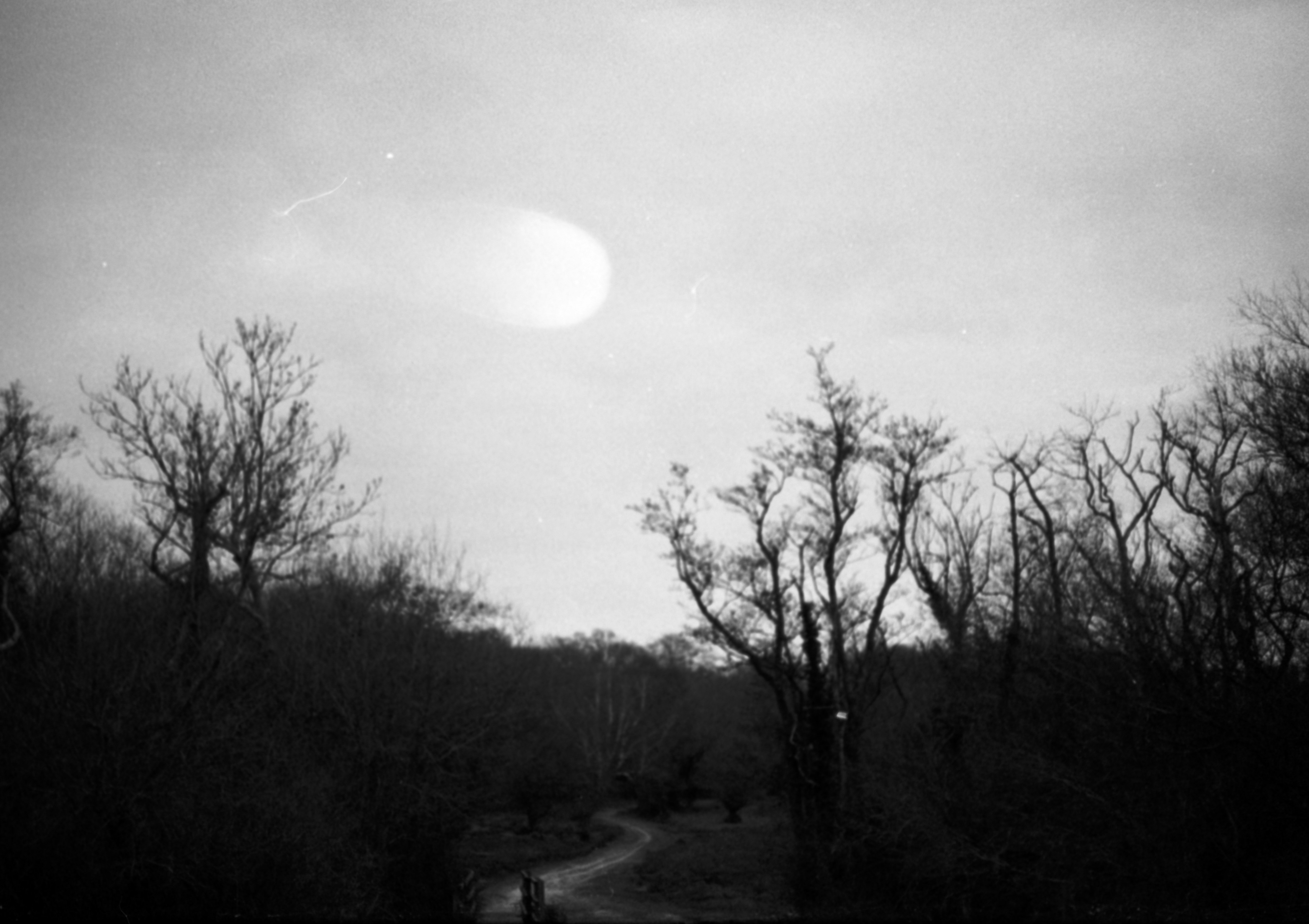 Photo by anniespratt
