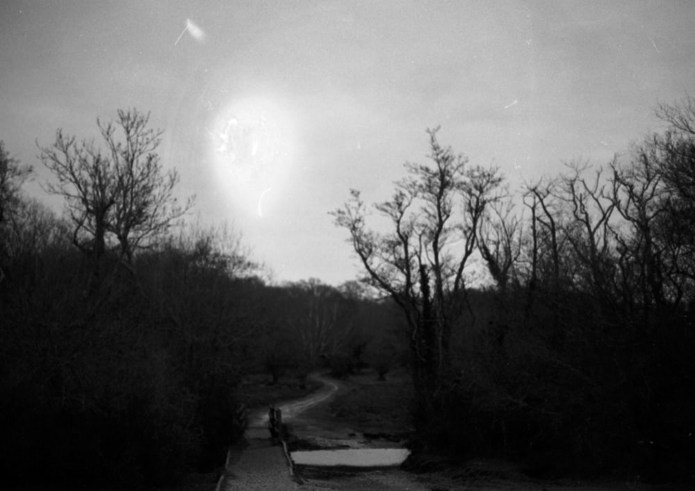 a black and white photo of a dirt road